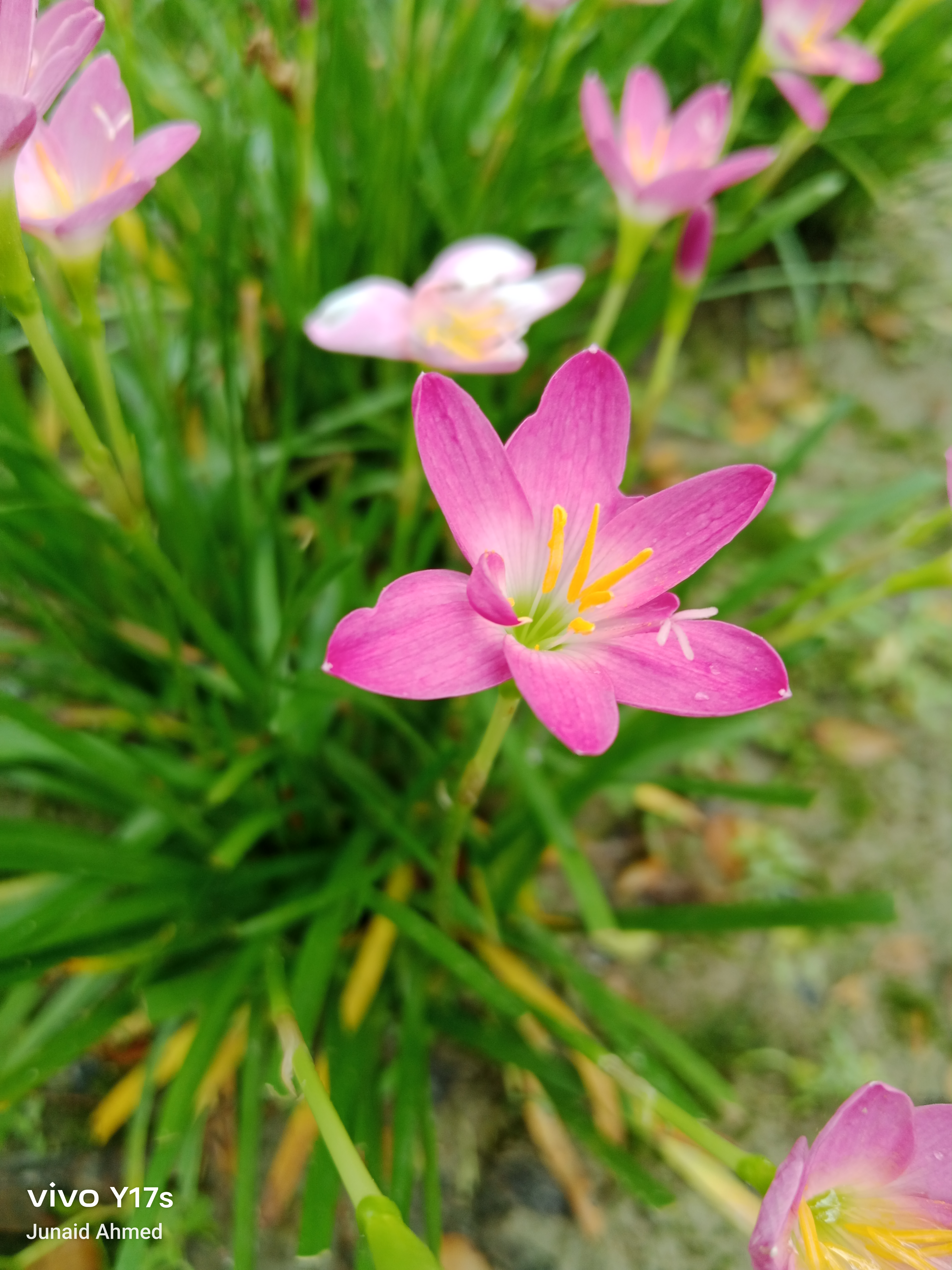 IMG_20250808_083918.jpg