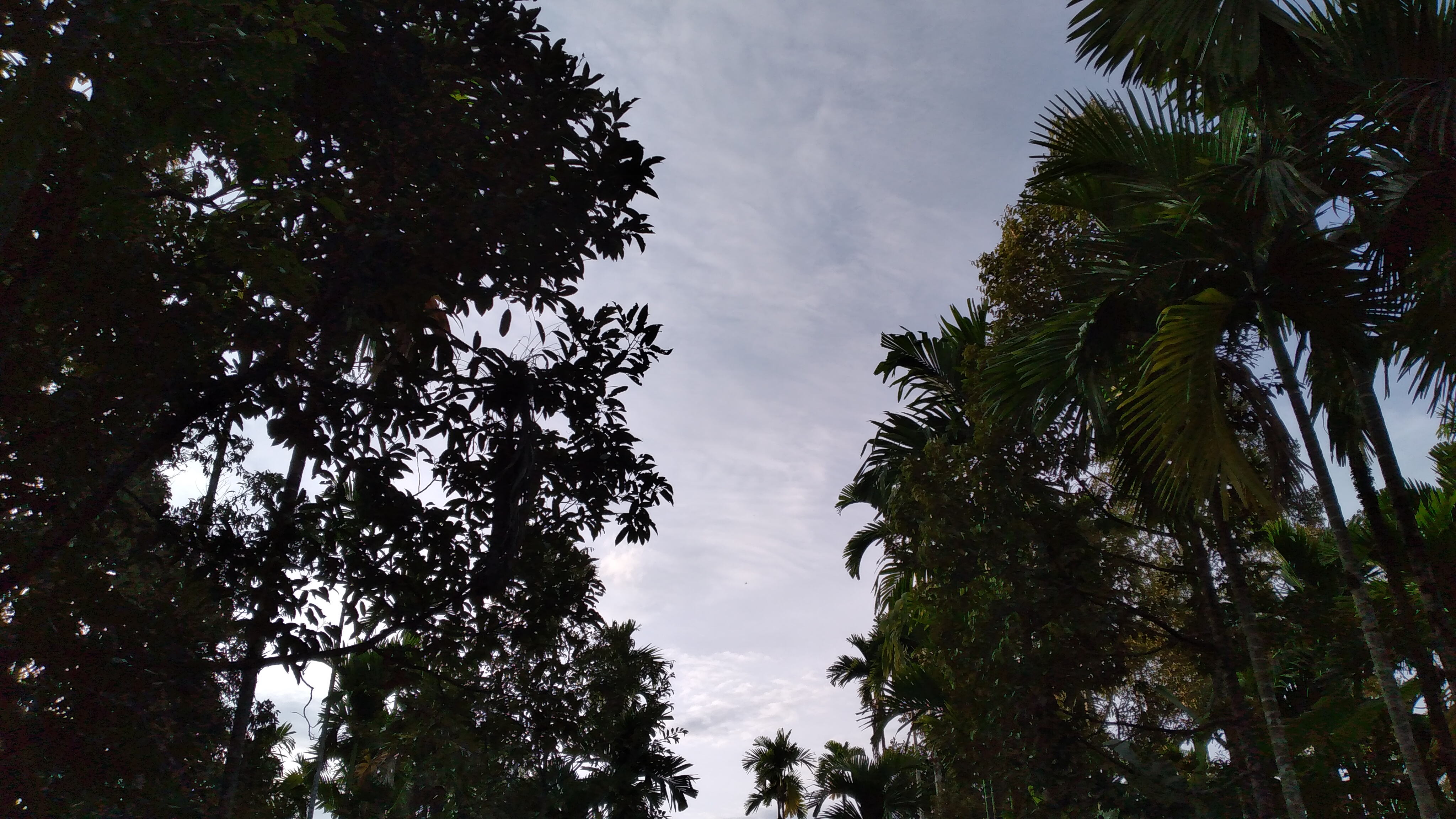 20220918_175204.jpg