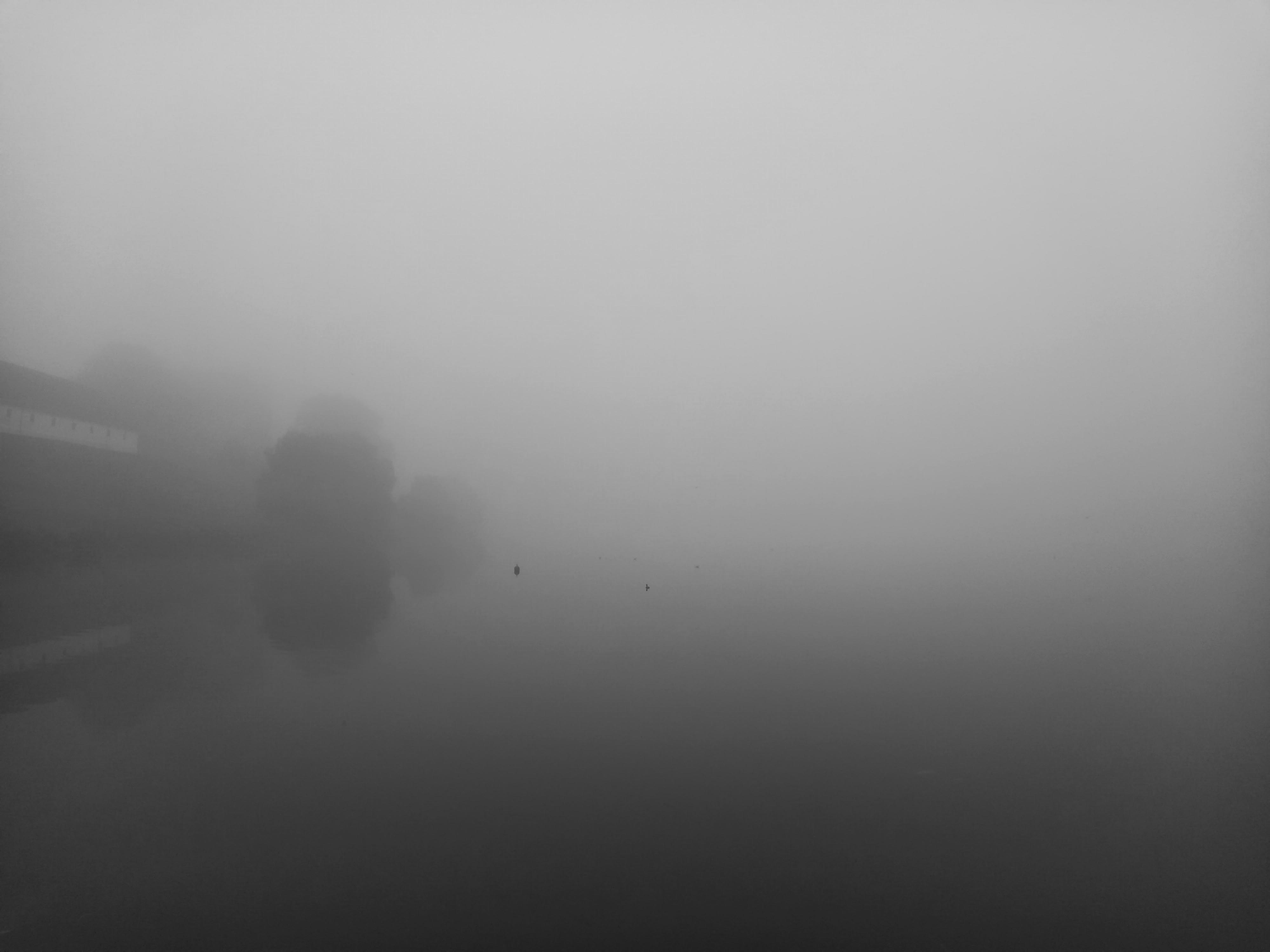 FOG5.jpg