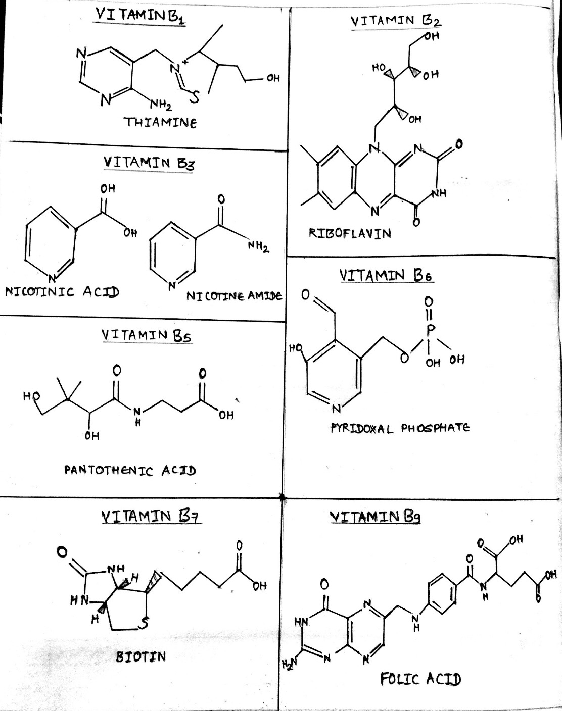 structure-of-vitamin-B-complex-1-2721699247.jpg