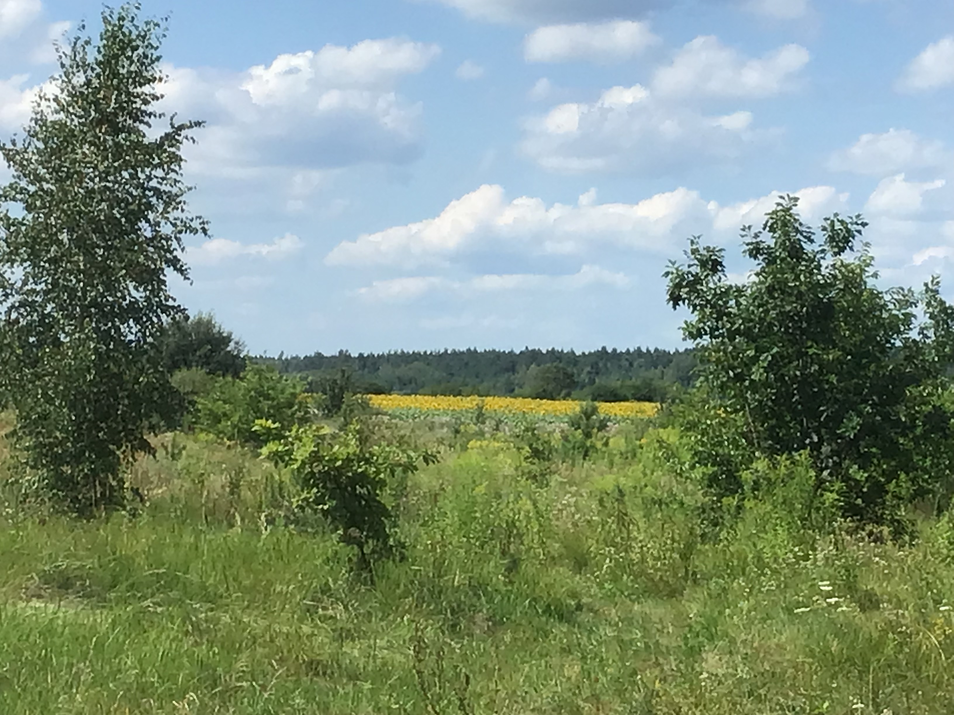 IMG_0699.jpeg