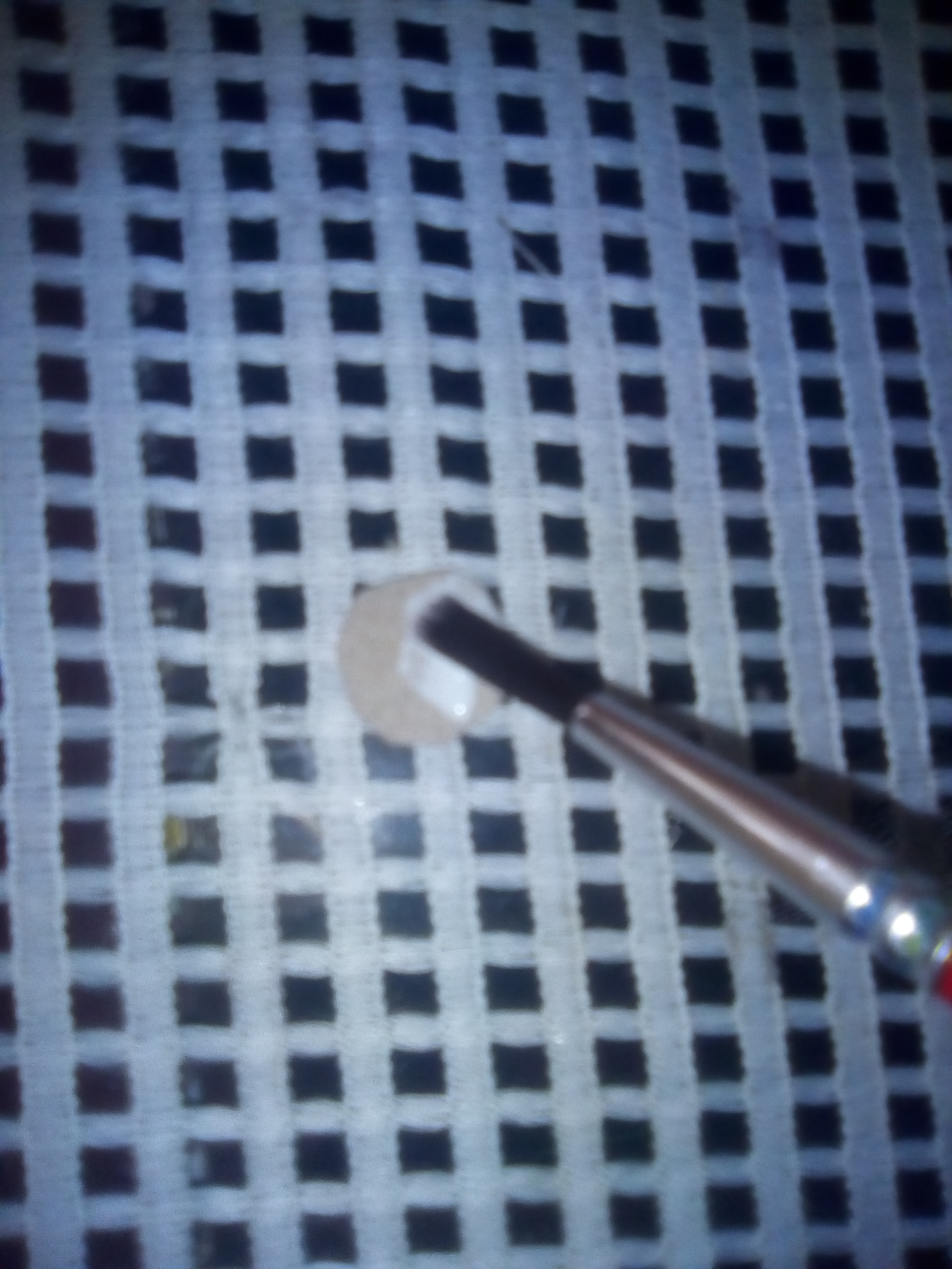 IMG_20210513_121547.jpg