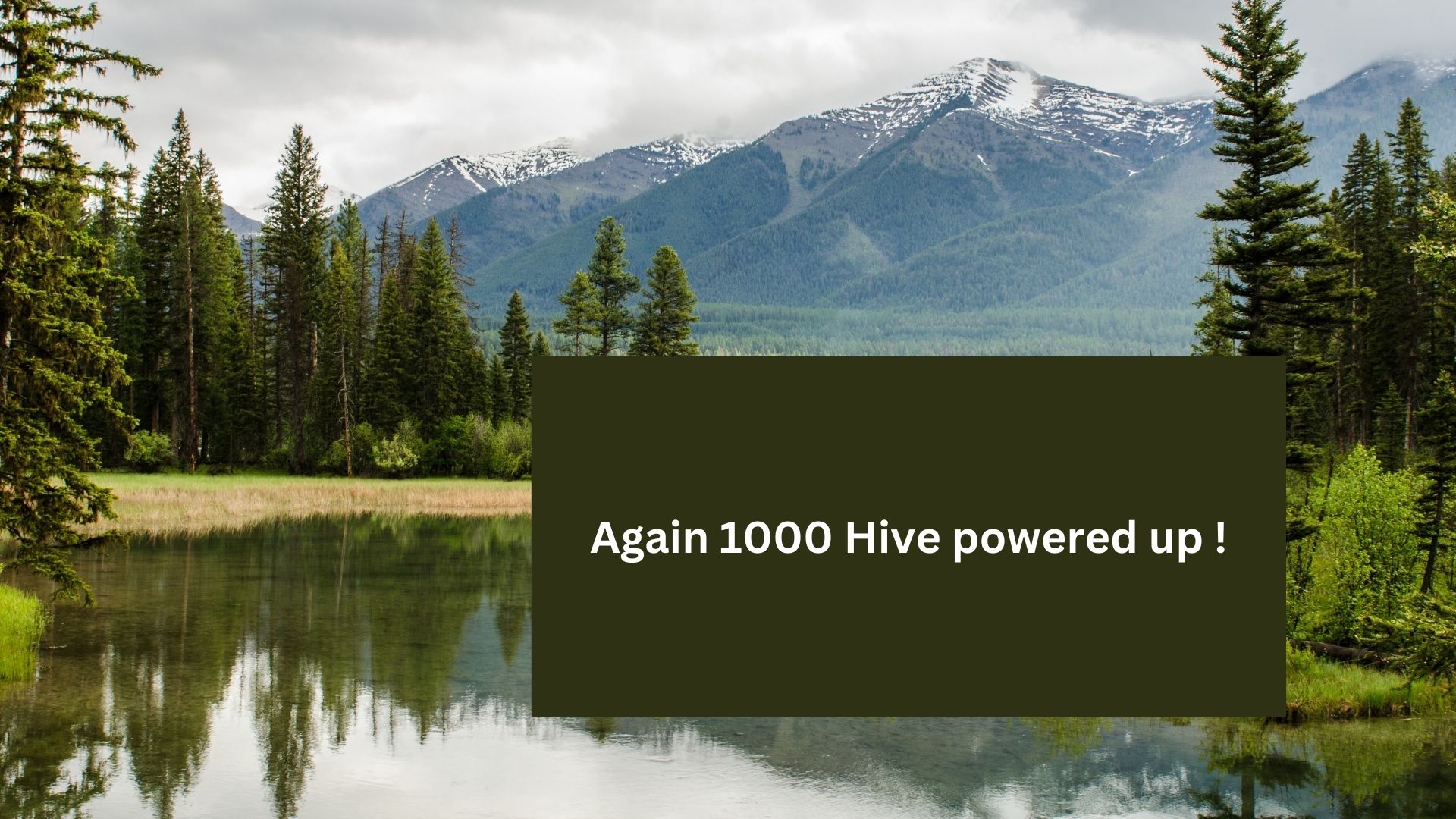 again 1000 hive powered up.jpg