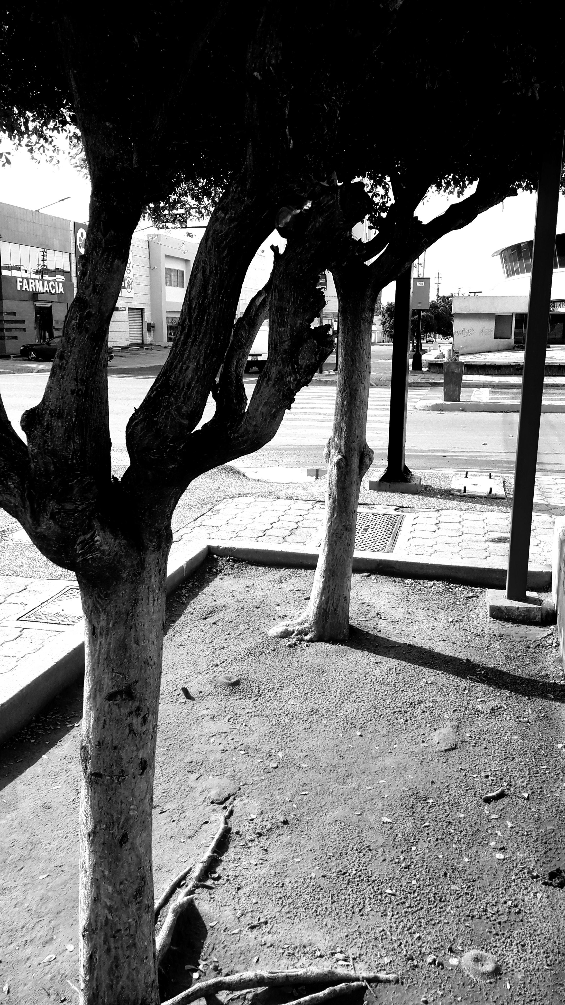 20210924_121633.jpg