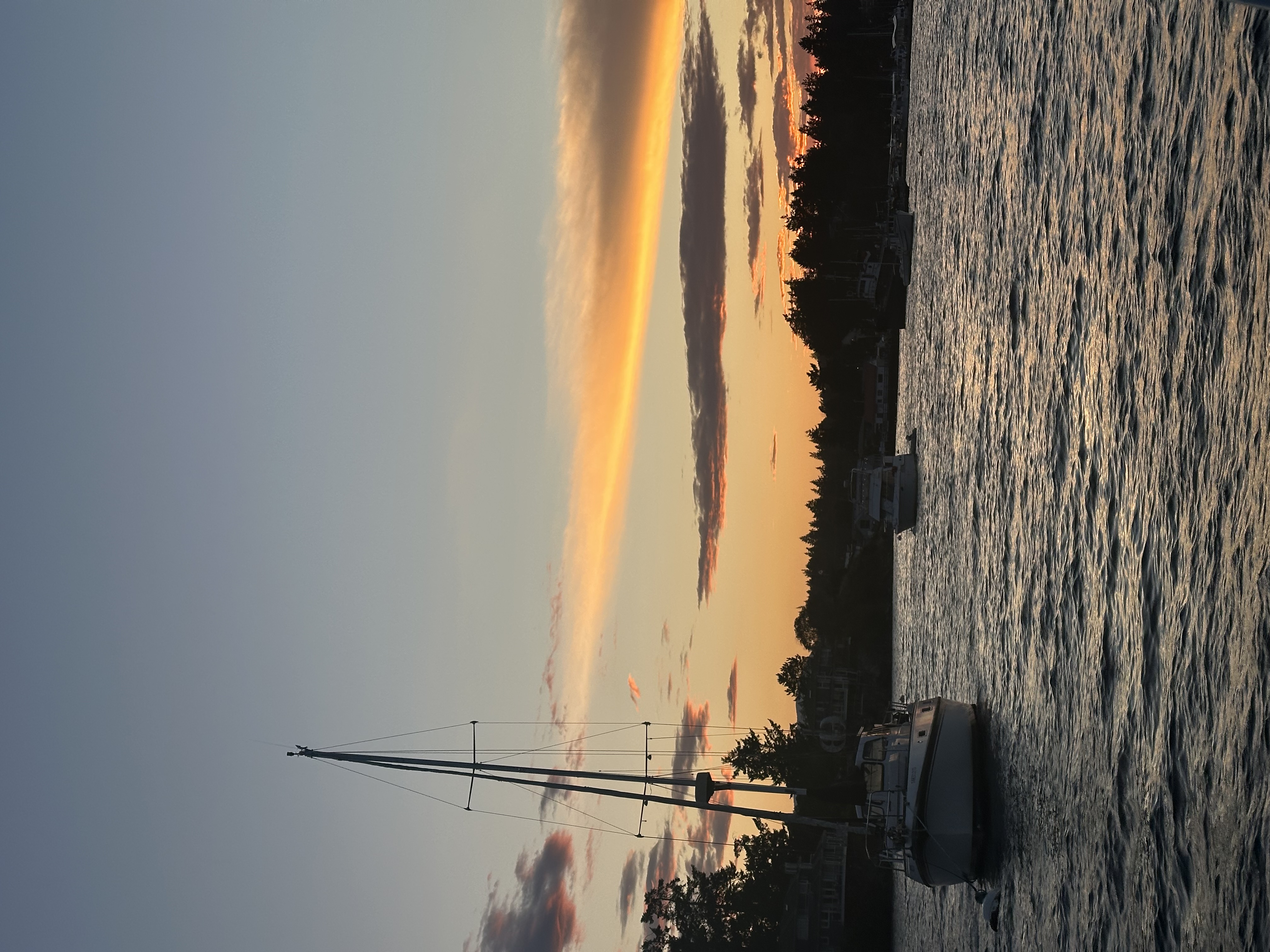  "IMG_3754.jpeg"