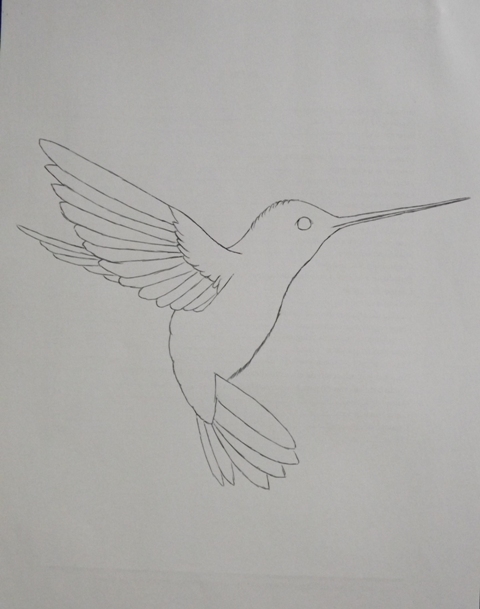How to Draw Hummingbird  HelloArtsy