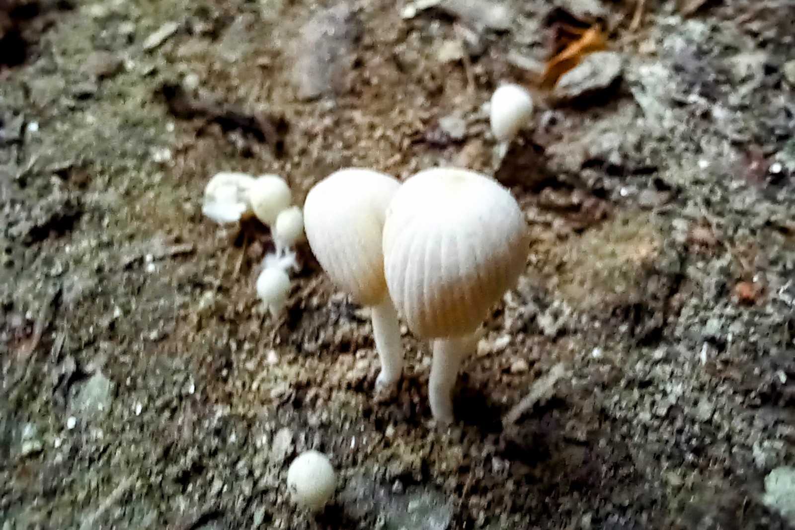 20250516_182129~2.jpg