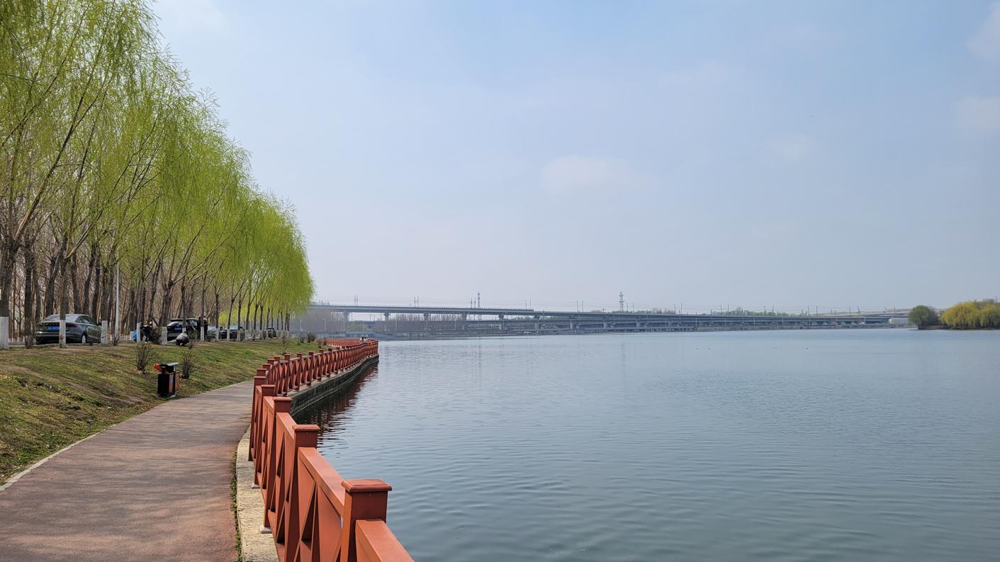 20250415_115723.jpg