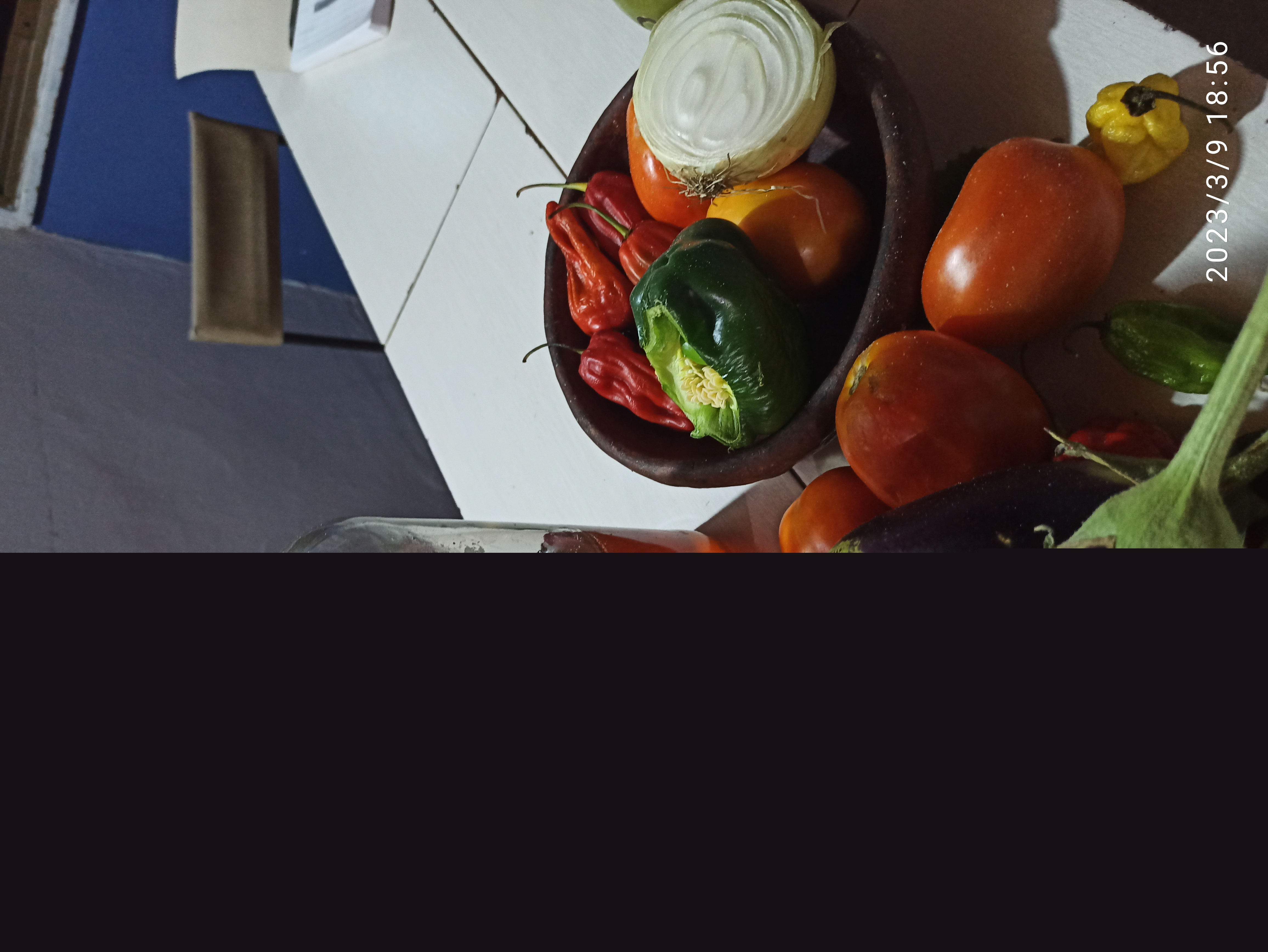 IMG_20230309_185639.jpg
