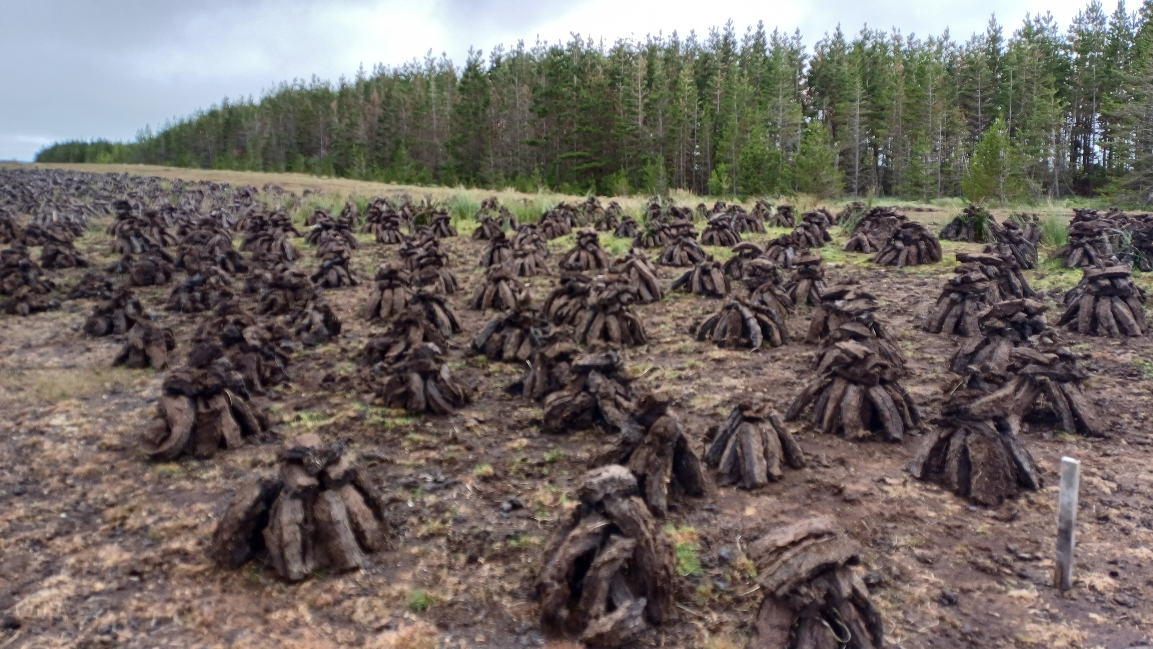 IMG-20250709-WA0006.jpeg