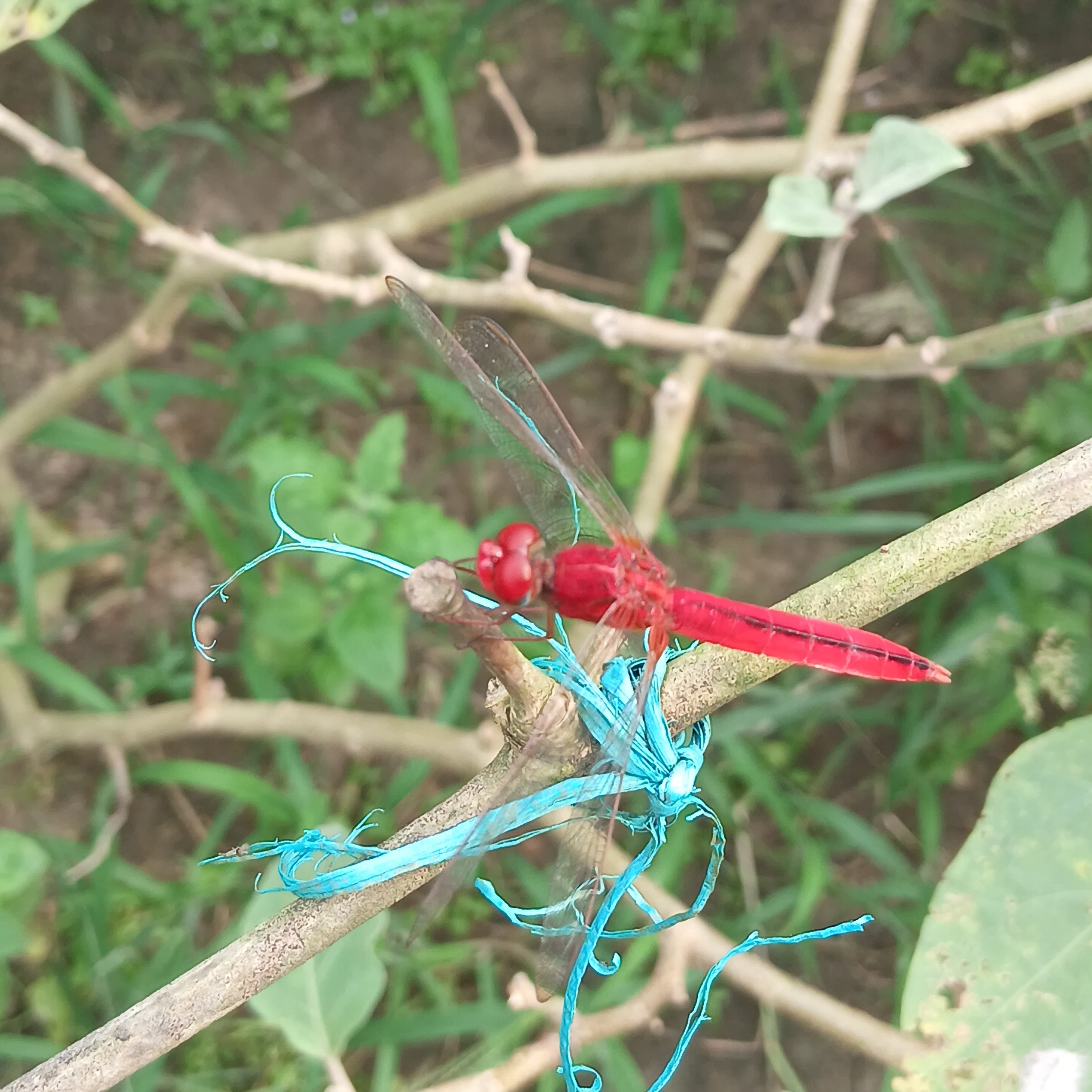 20250802_144409.jpg