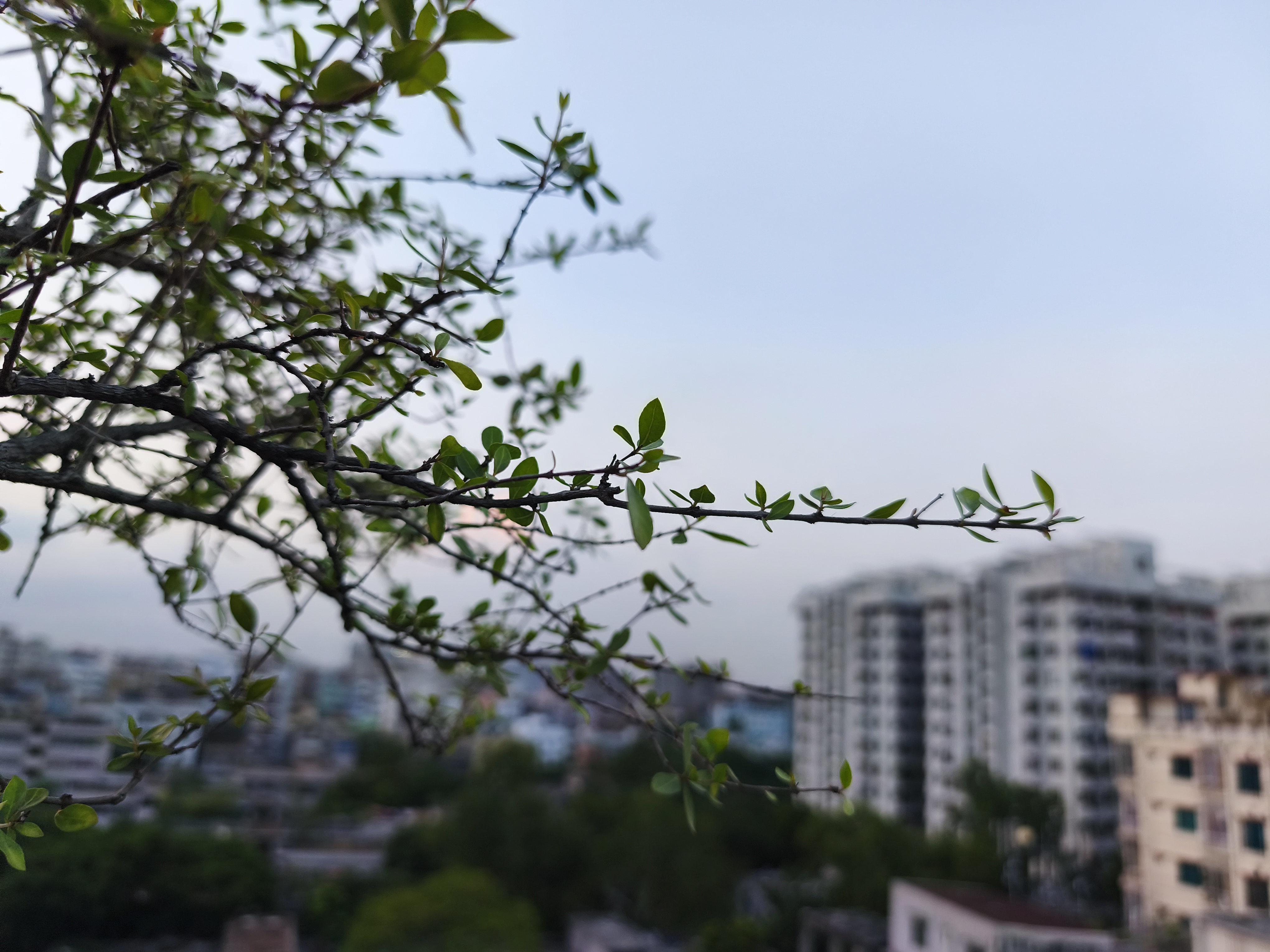 IMG_20250518_182942.jpg