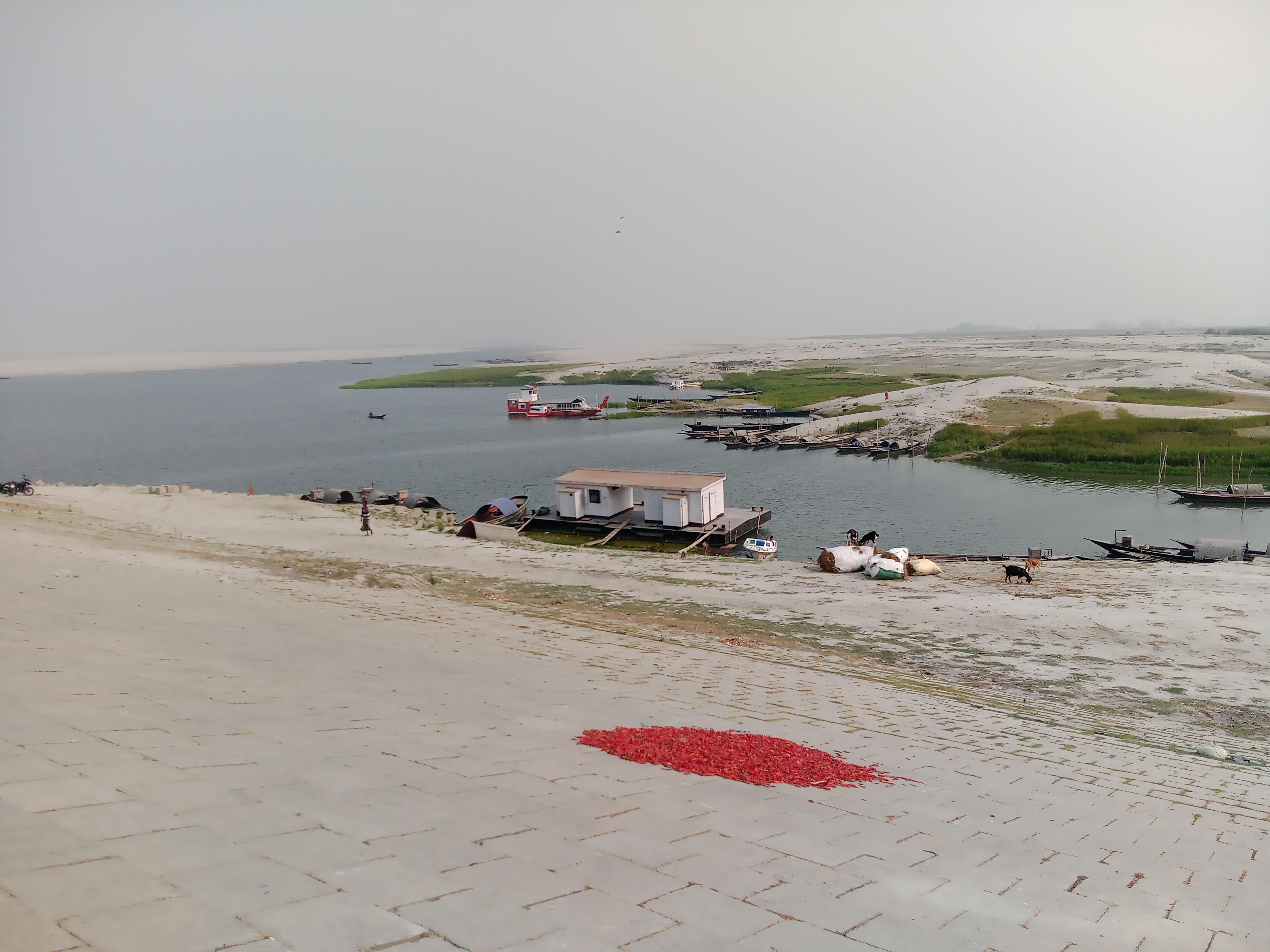 IMG_20220325_154053_0.jpg