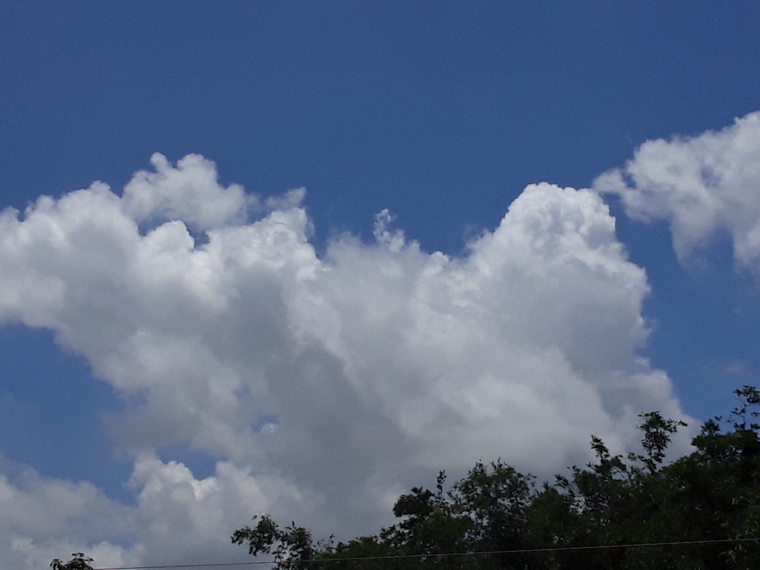 20200716_115038.jpg