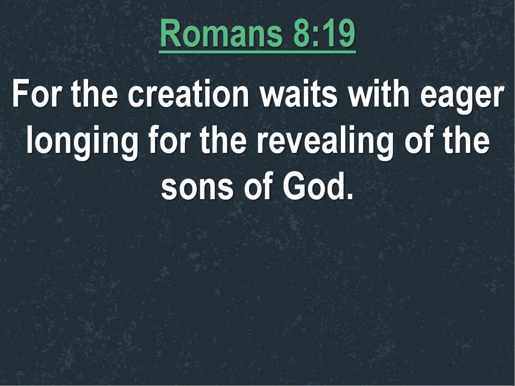Romans+8_19+For+the+creation+waits+with+eager+longing+for+the+revealing+of+the+sons+of+God..jpg