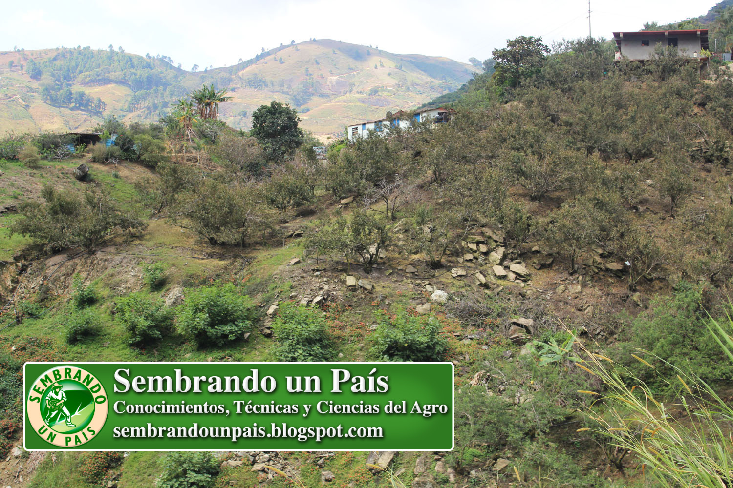 Venezuela Agropecuaria 7 NVO BANNER.jpg