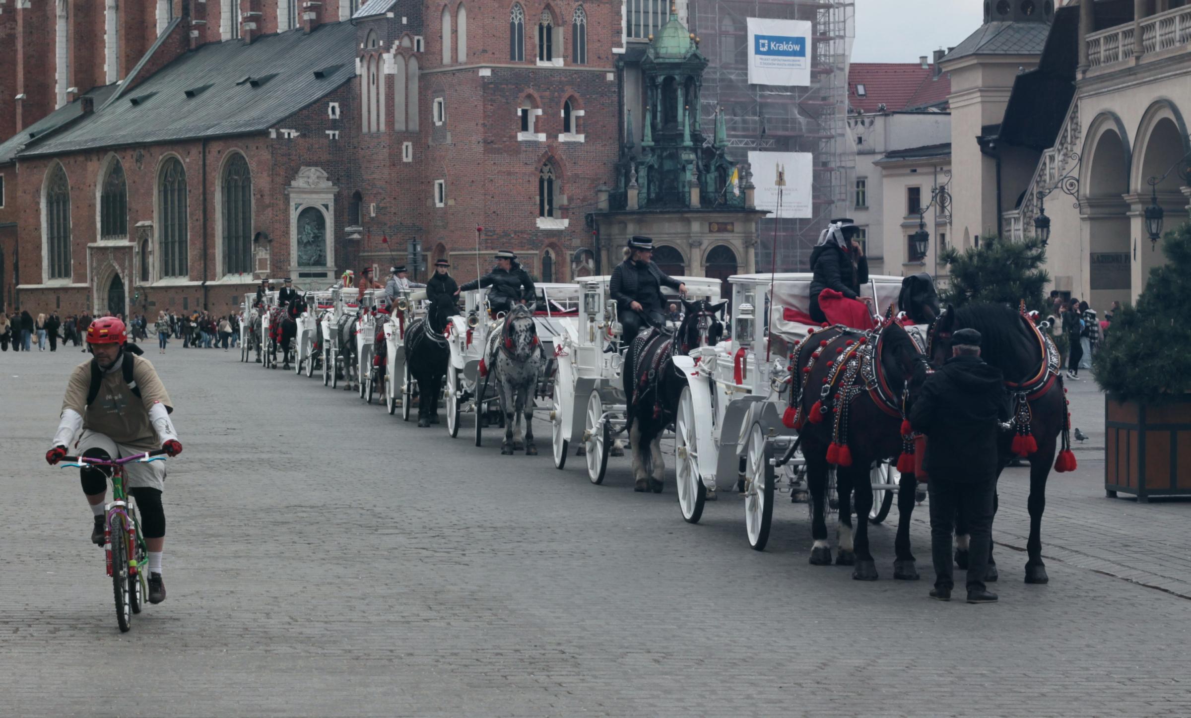 IMG_7171-crop.JPG