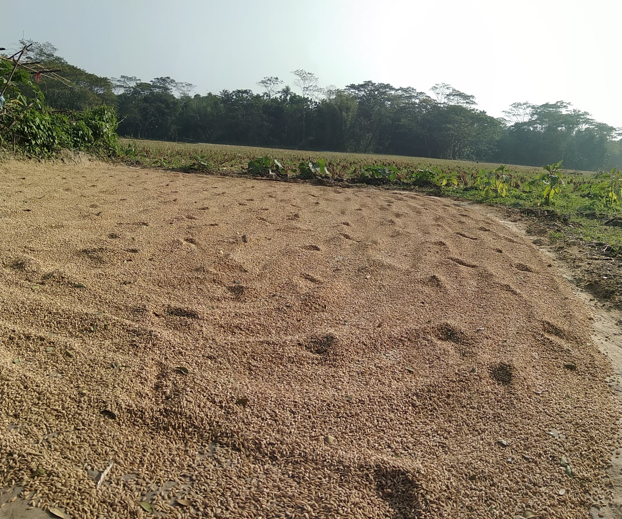 PANO_20181229_144005.jpg