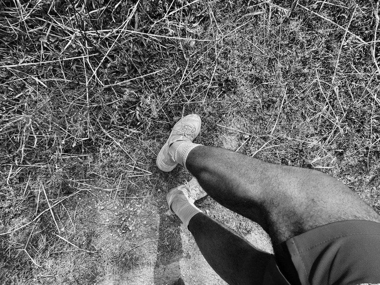 IMG_3453.jpeg