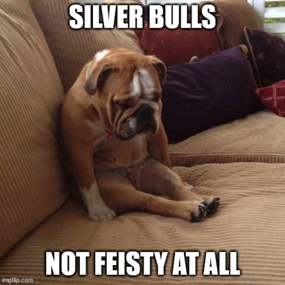 Screenshot 2023-01-04 at 17-39-34 sad dog Meme Generator - Imgflip.png