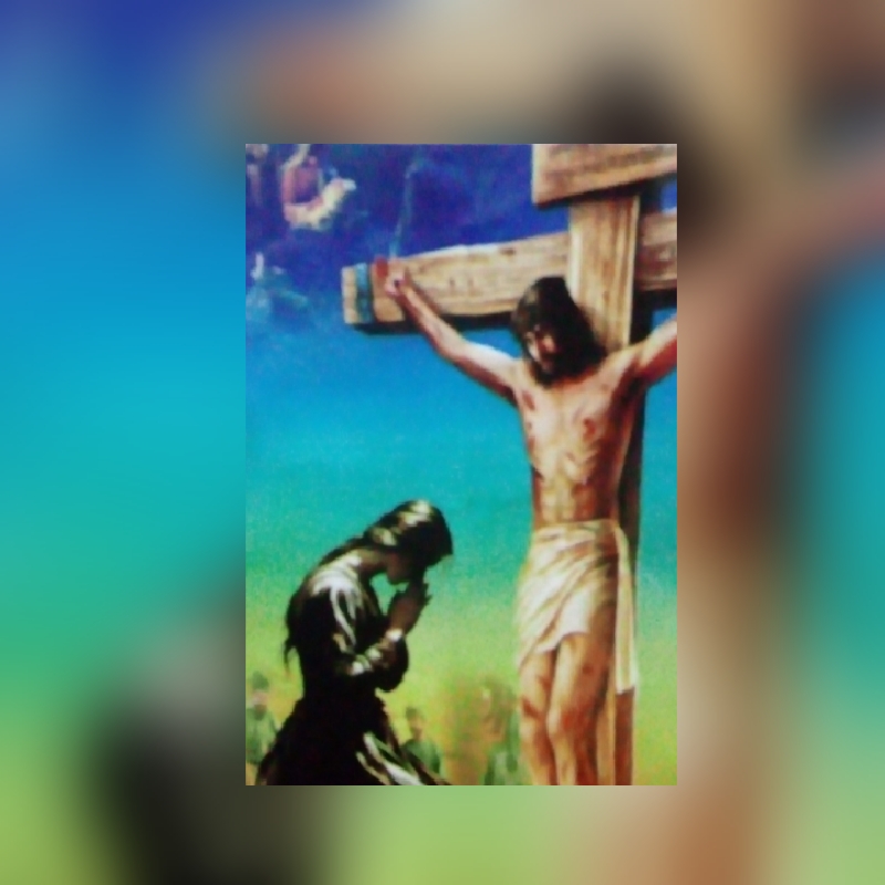 caesarapp_20256862221246.jpg