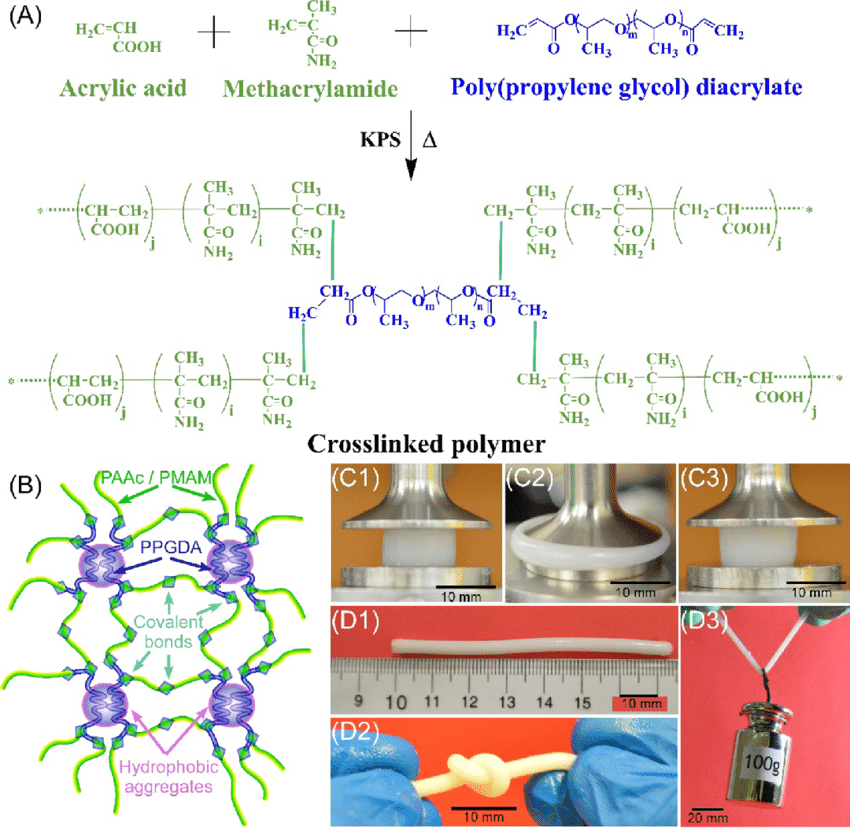 Chemical-structure-and-stretchability-of-a-hydrogel-A-Reaction-scheme-for-hydrogel.png