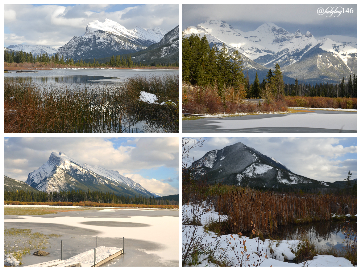 vermillion lakes (9).jpg