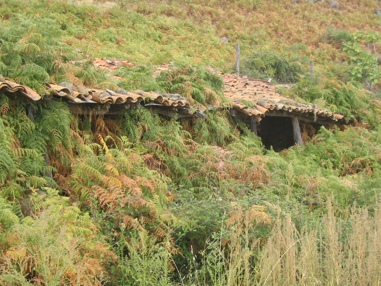 Gredos 10.jpg