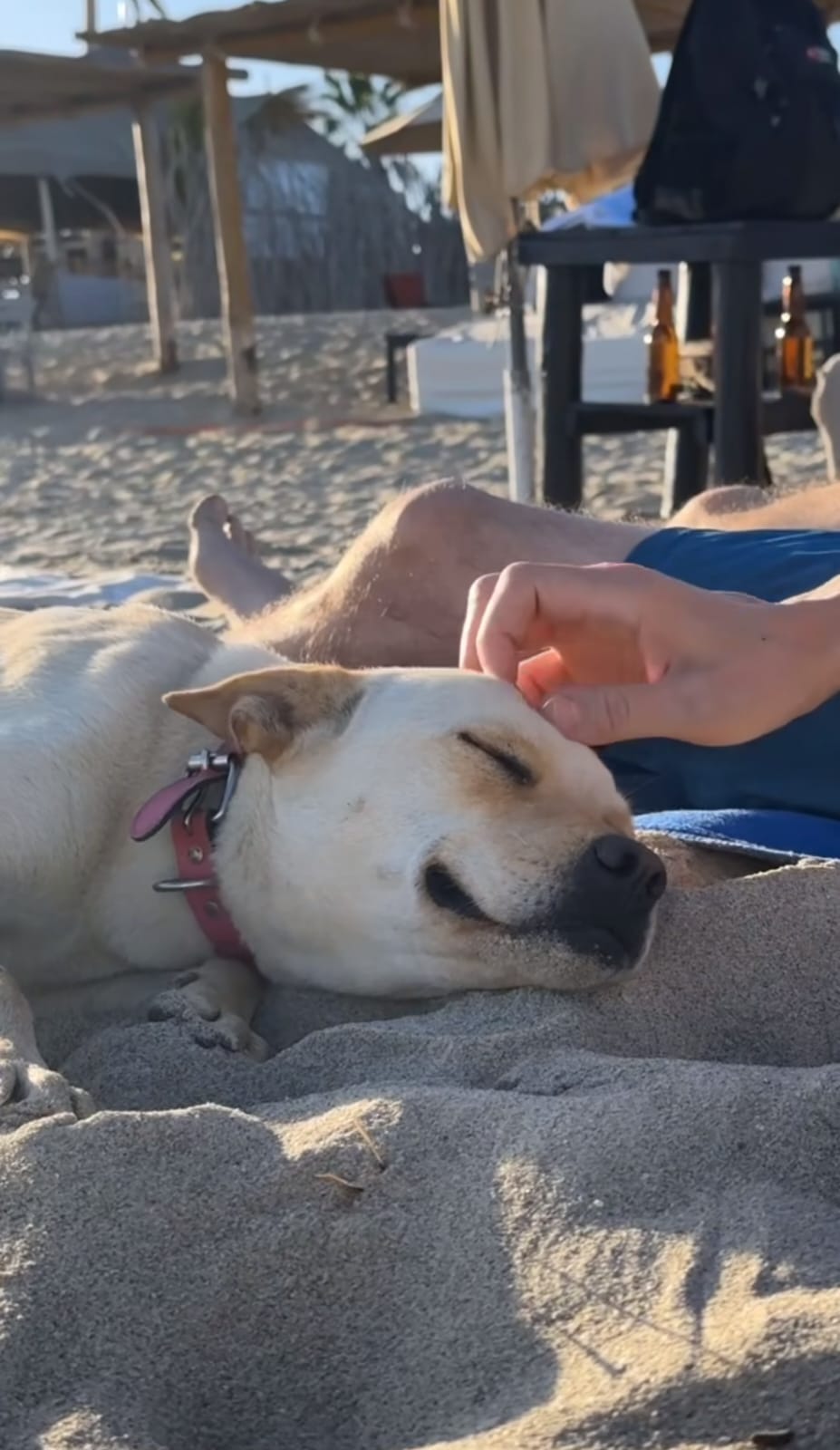 WhatsApp Image 2024-03-04 at 11.38.06 (2).jpeg