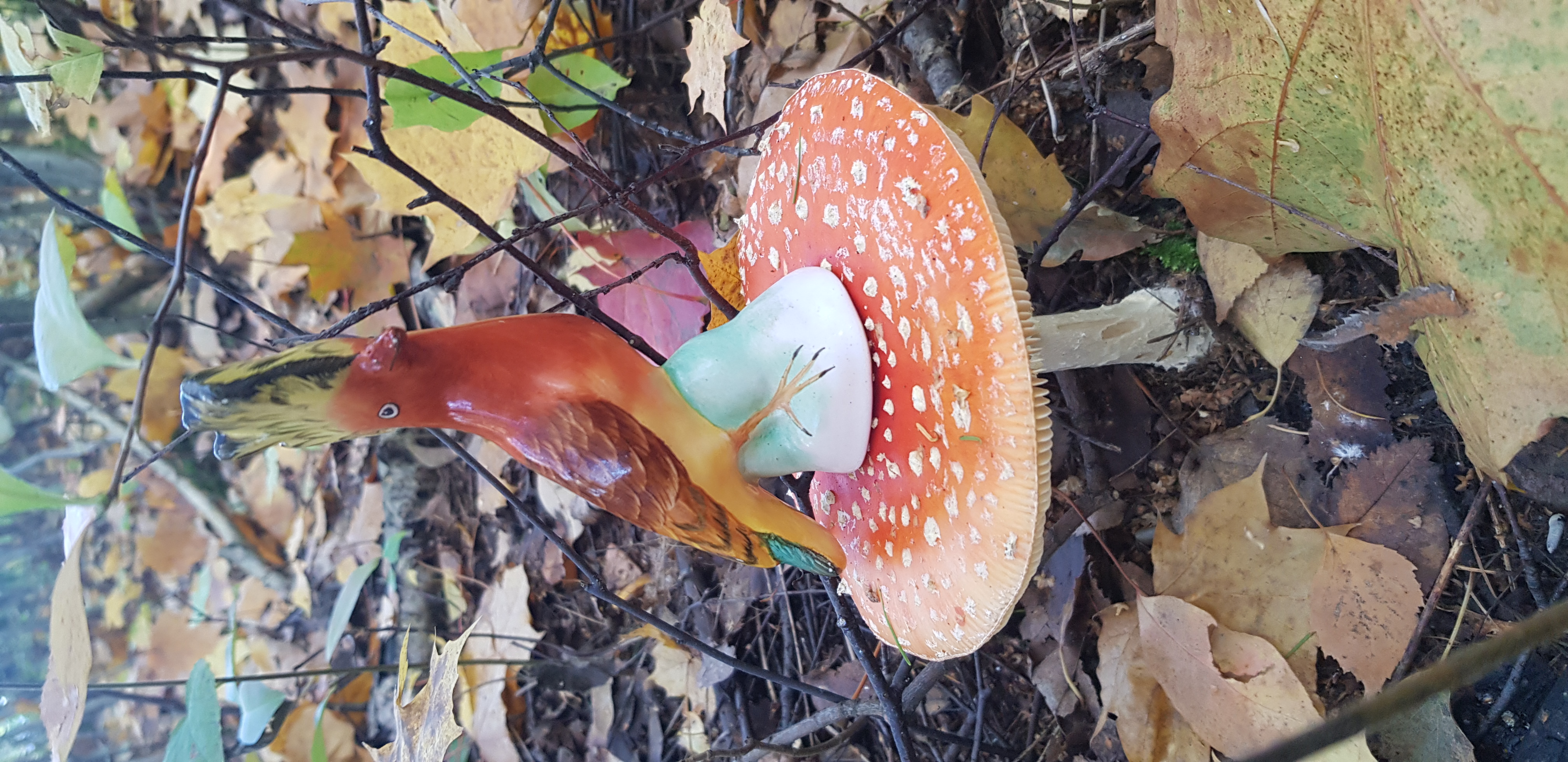 20241017_102616.jpg