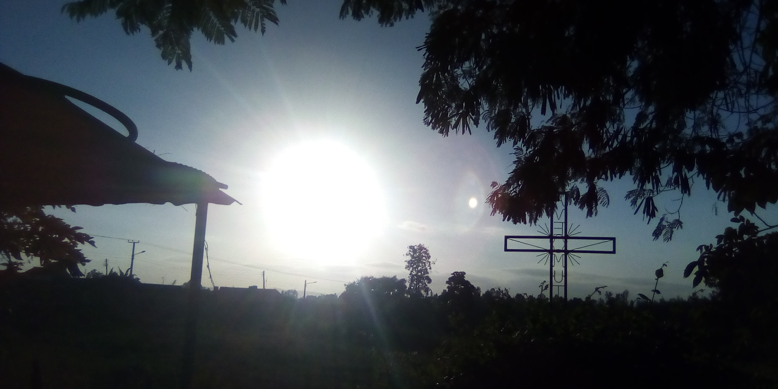 IMG_20220112_175647_2.jpg