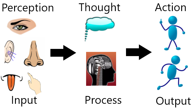 2.perception-thought-process.png