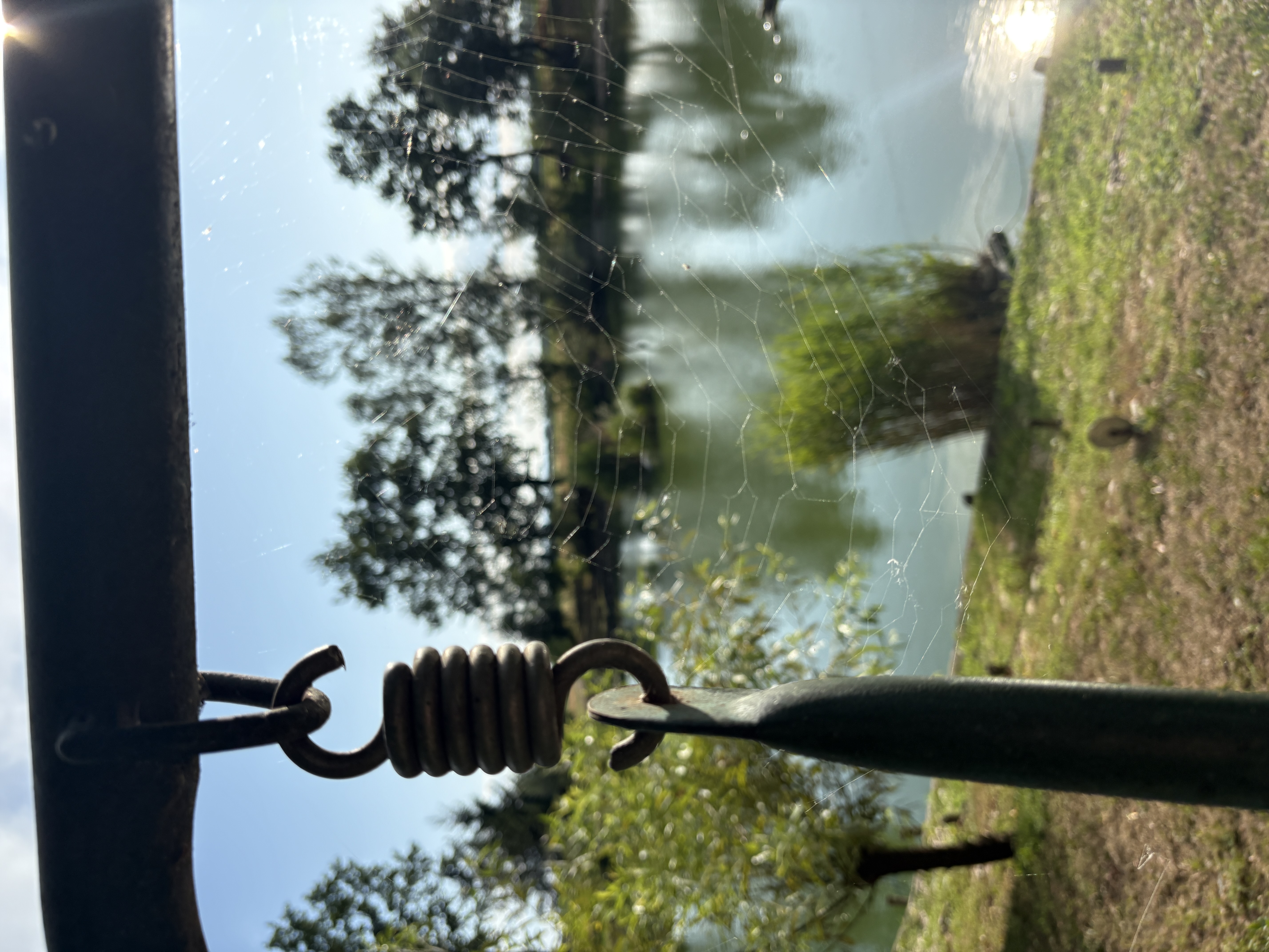 IMG_6263.jpeg