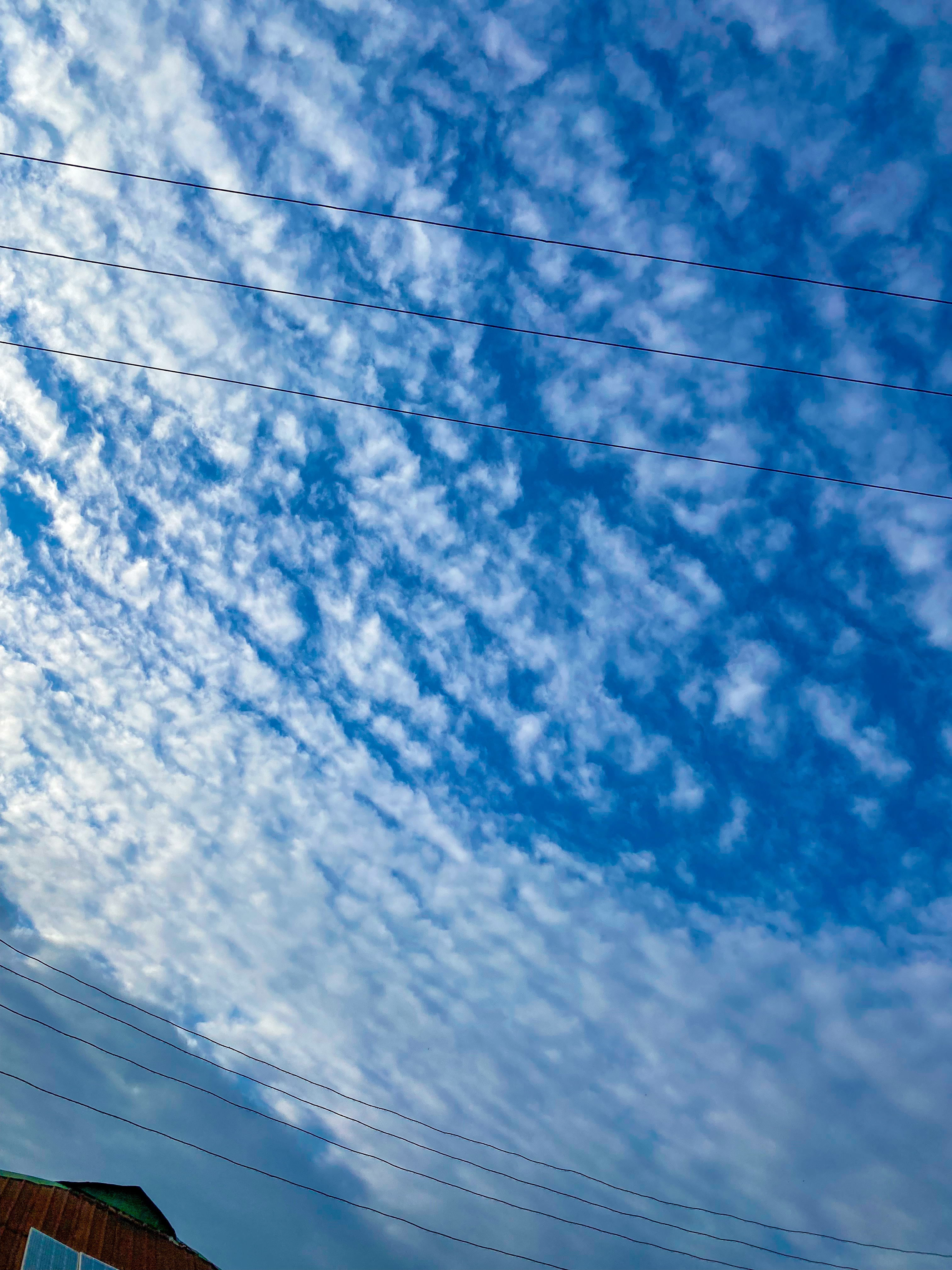 Day 2 of taking pictures of the cloud
