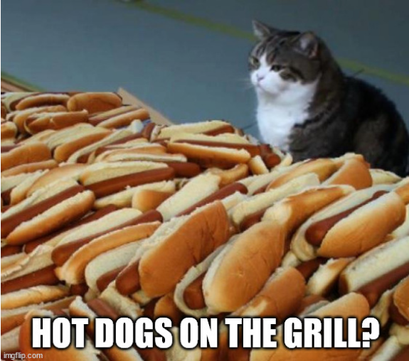 Screenshot 2022-05-07 at 17-23-49 Hot dog cat Meme Generator - Imgflip.png