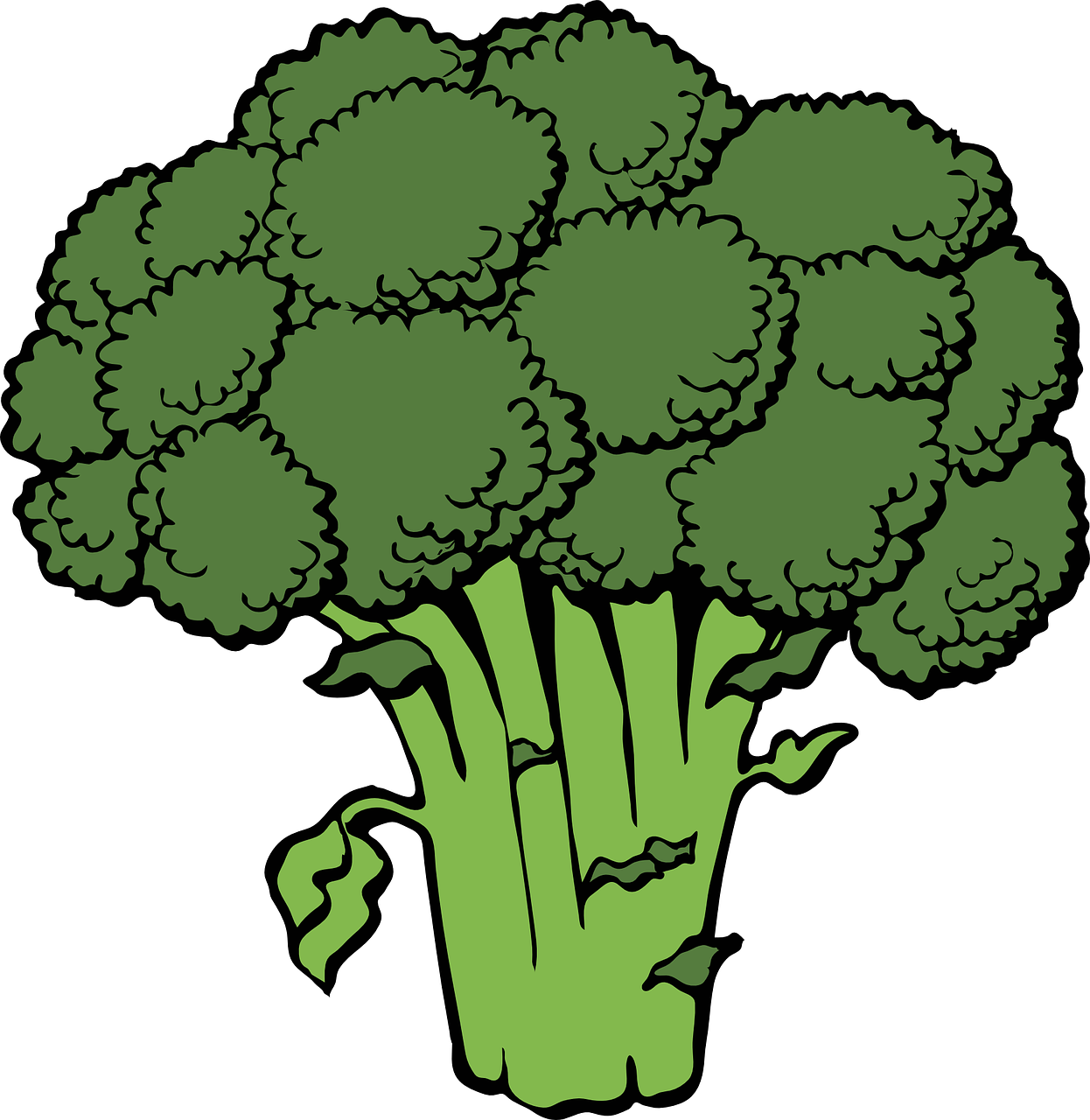 broccoli-40295_1280.png