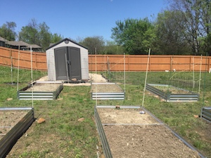 fence2.JPG