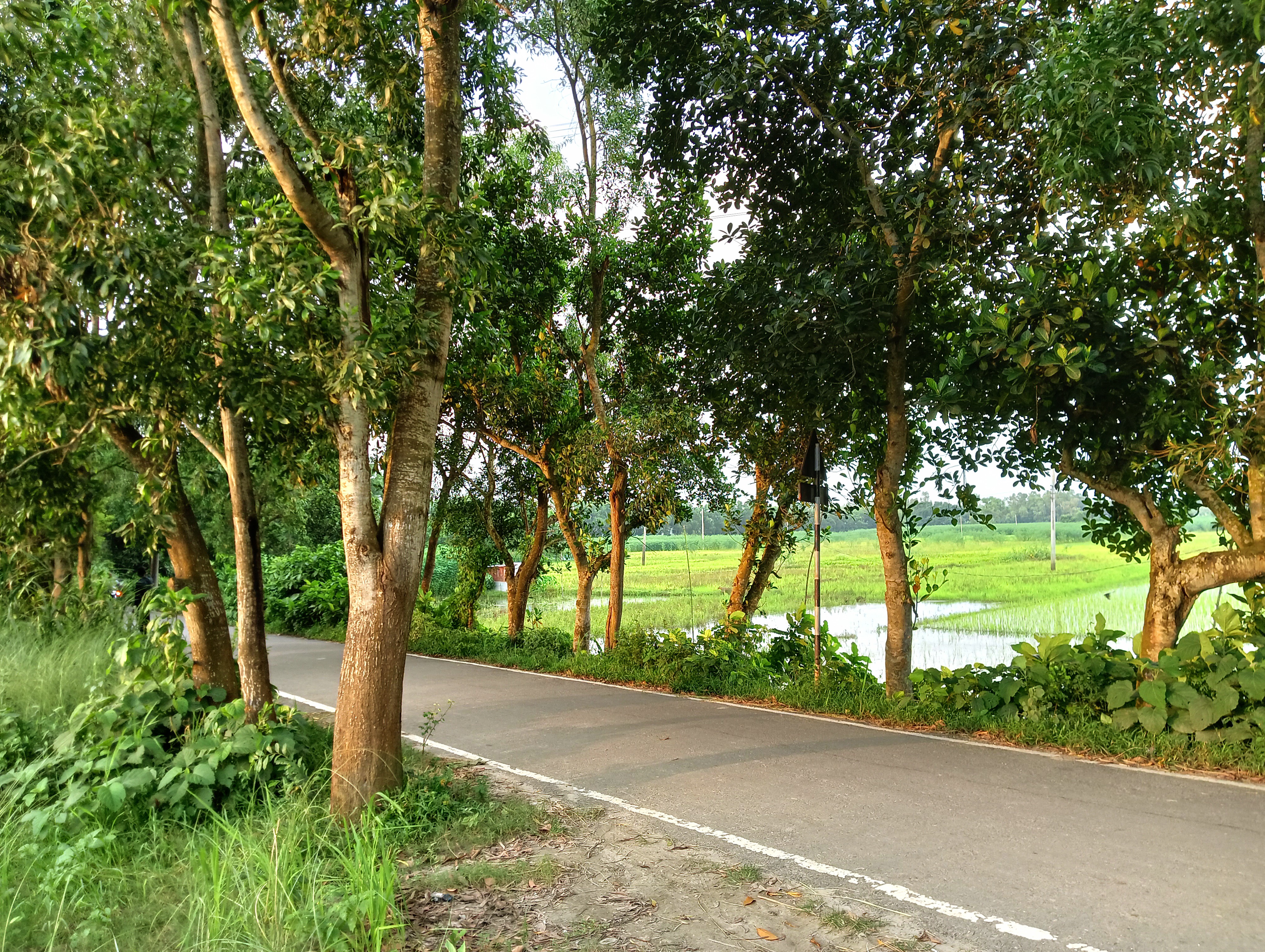 IMG20250815175151.jpg