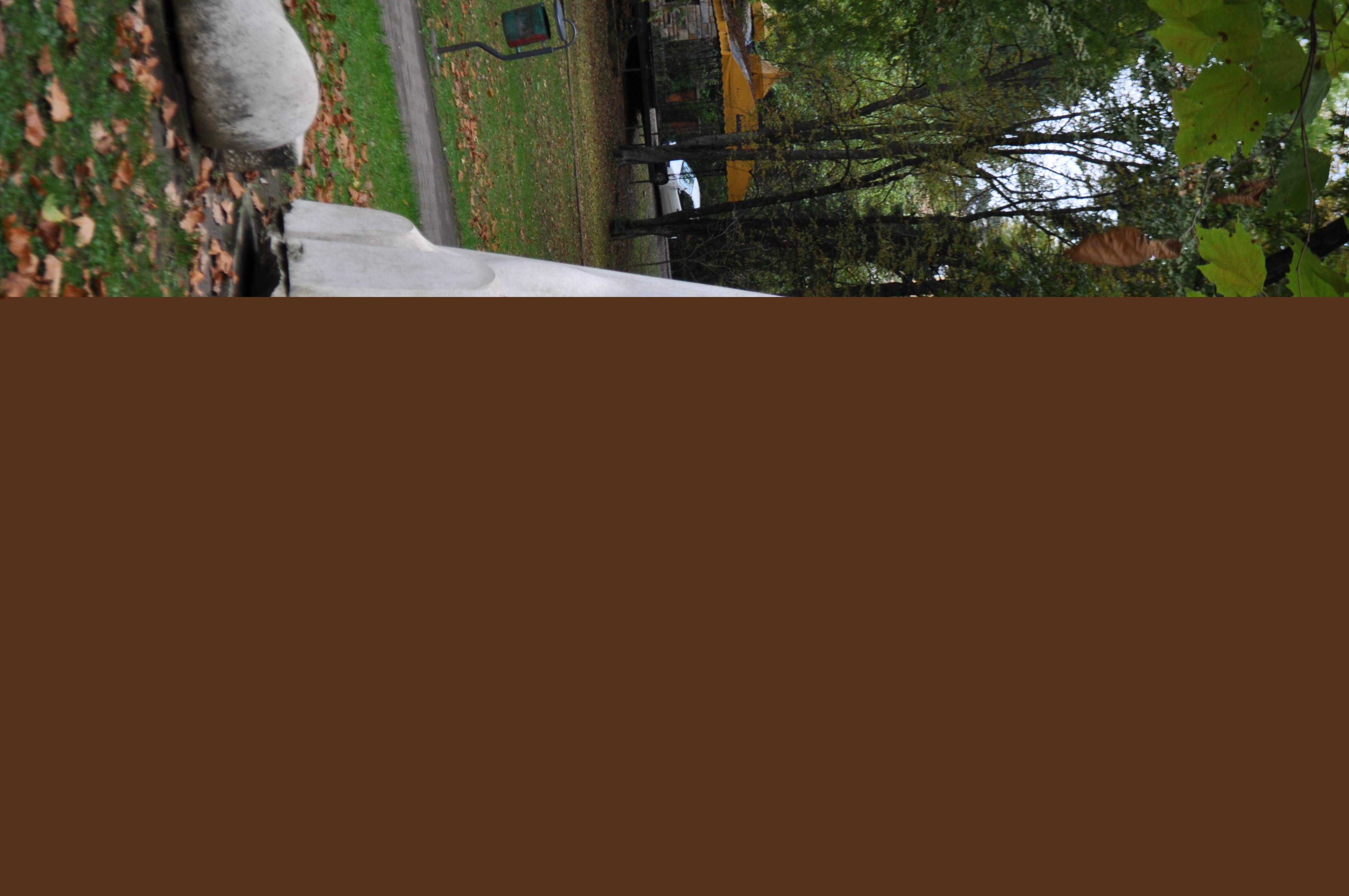 DSC_0473.JPG
