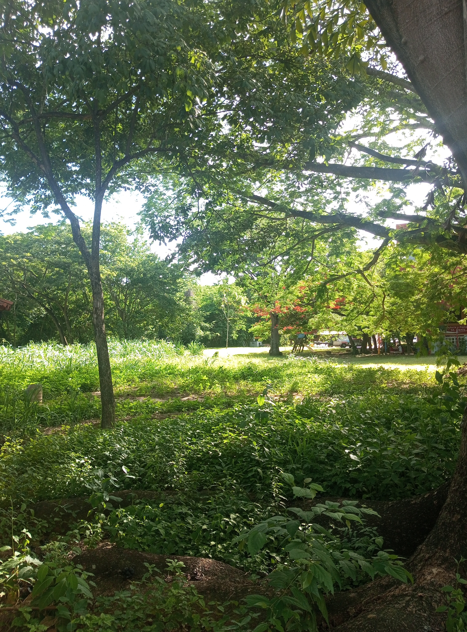 IMG_20250627_161707_850.jpg