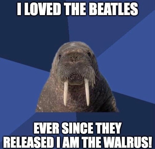 Meme of the day.jpg