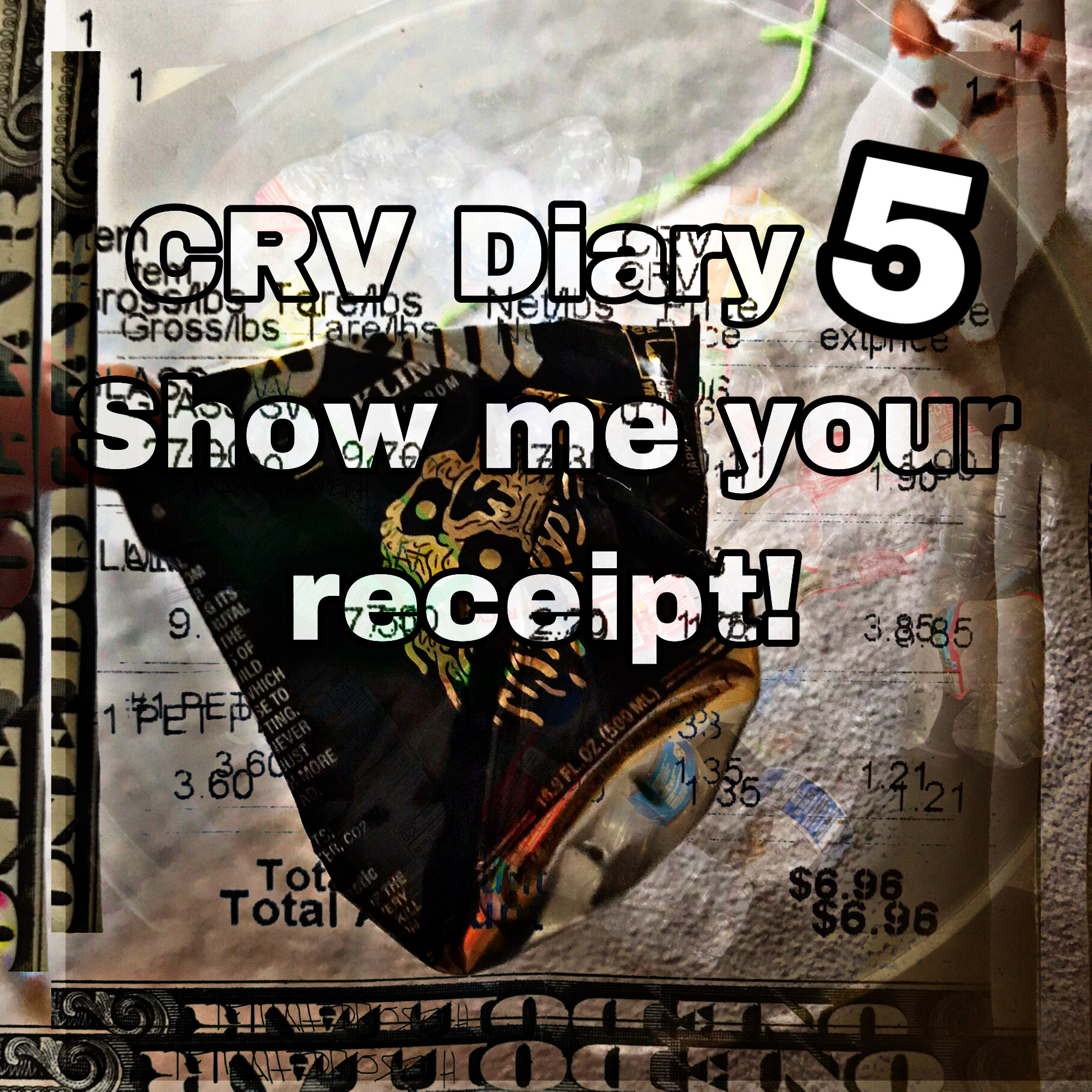 Hiveseph CRV Diary 5 by Tetrahedroseph Photo Jun 16, 1 21 28 PM.jpg