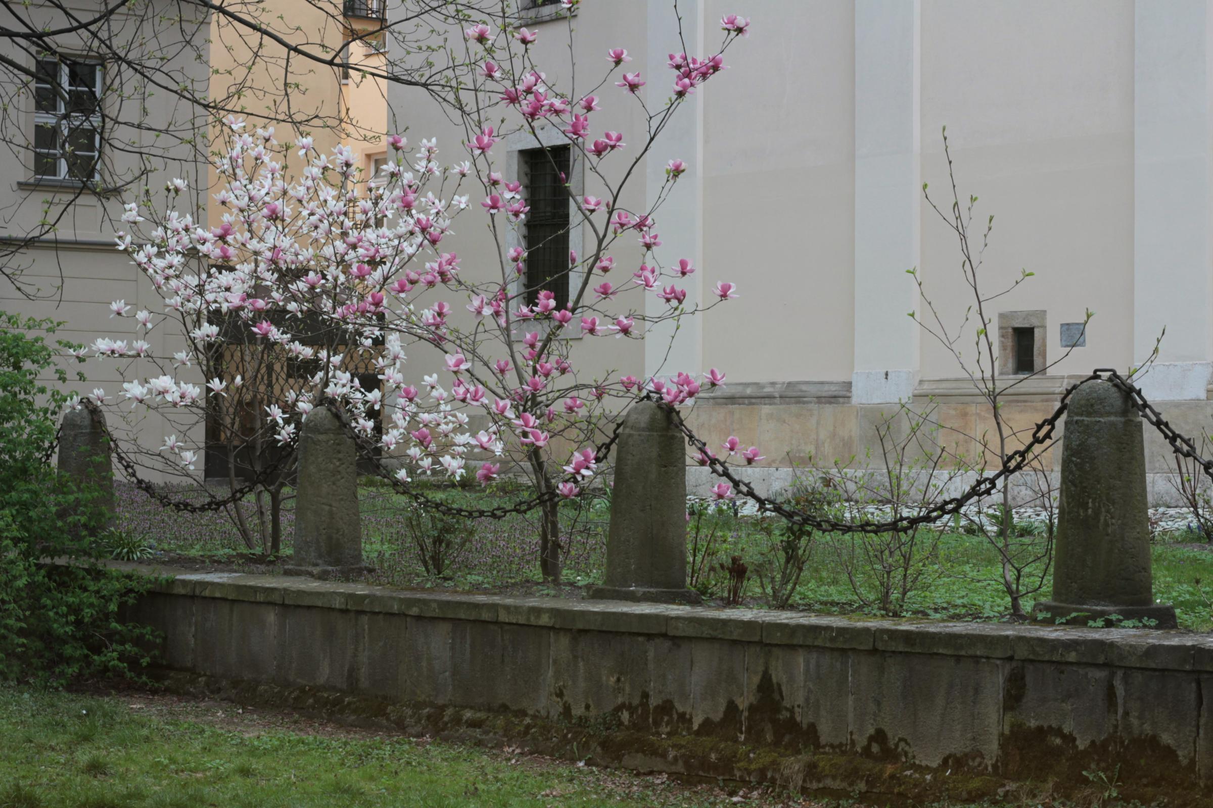 IMG_6354-crop.JPG