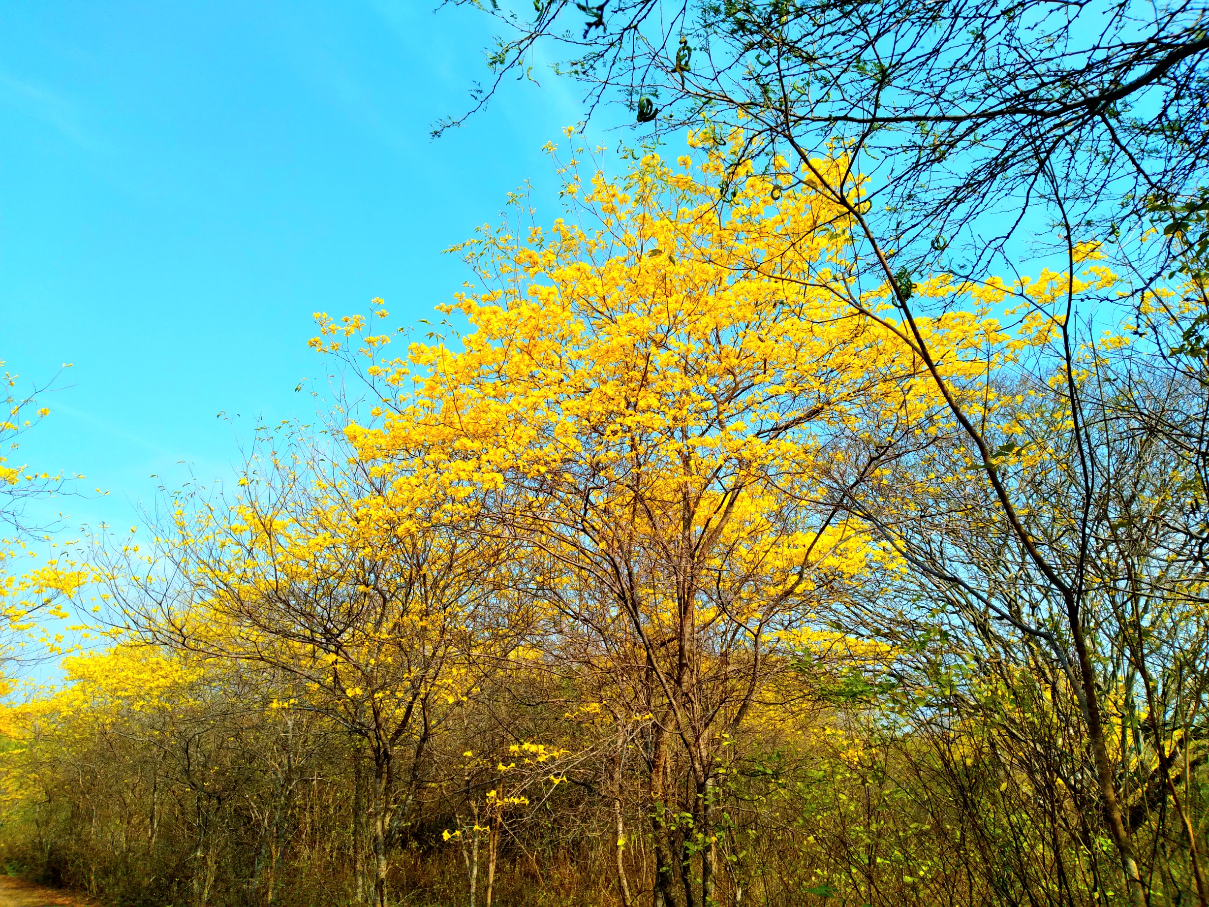 20250321_090349.jpg
