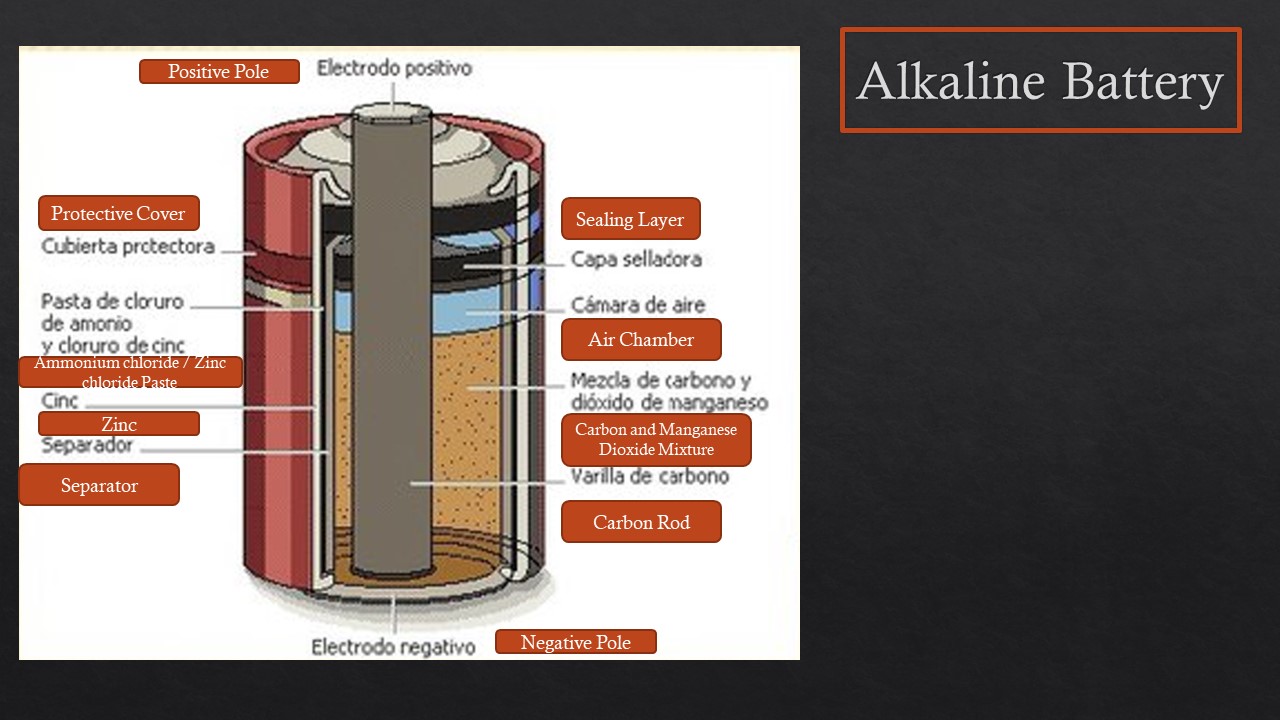 2  Alkaline Battery Cut Out.jpg