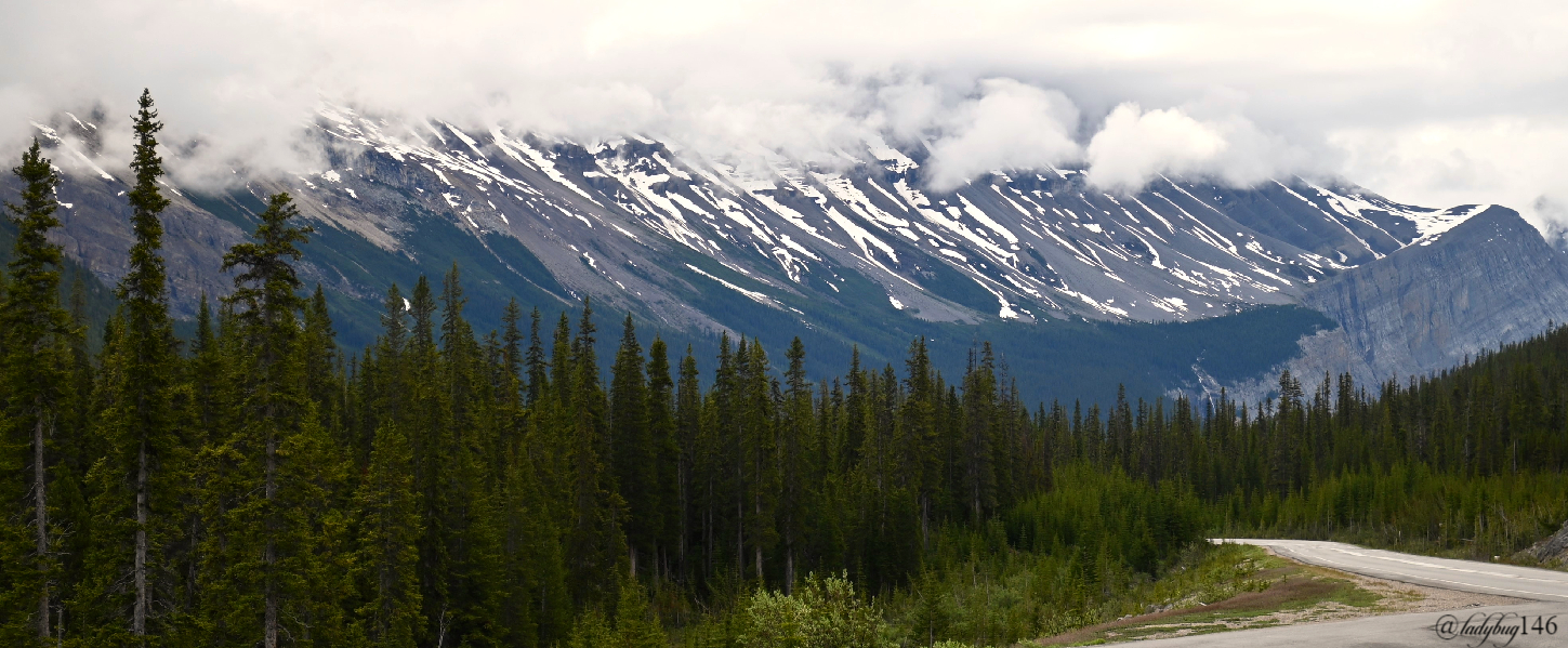 icefield parkway (9).jpg