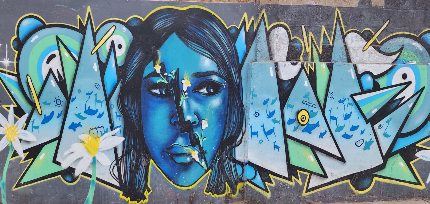 antofagasta-streetart-218.jpg