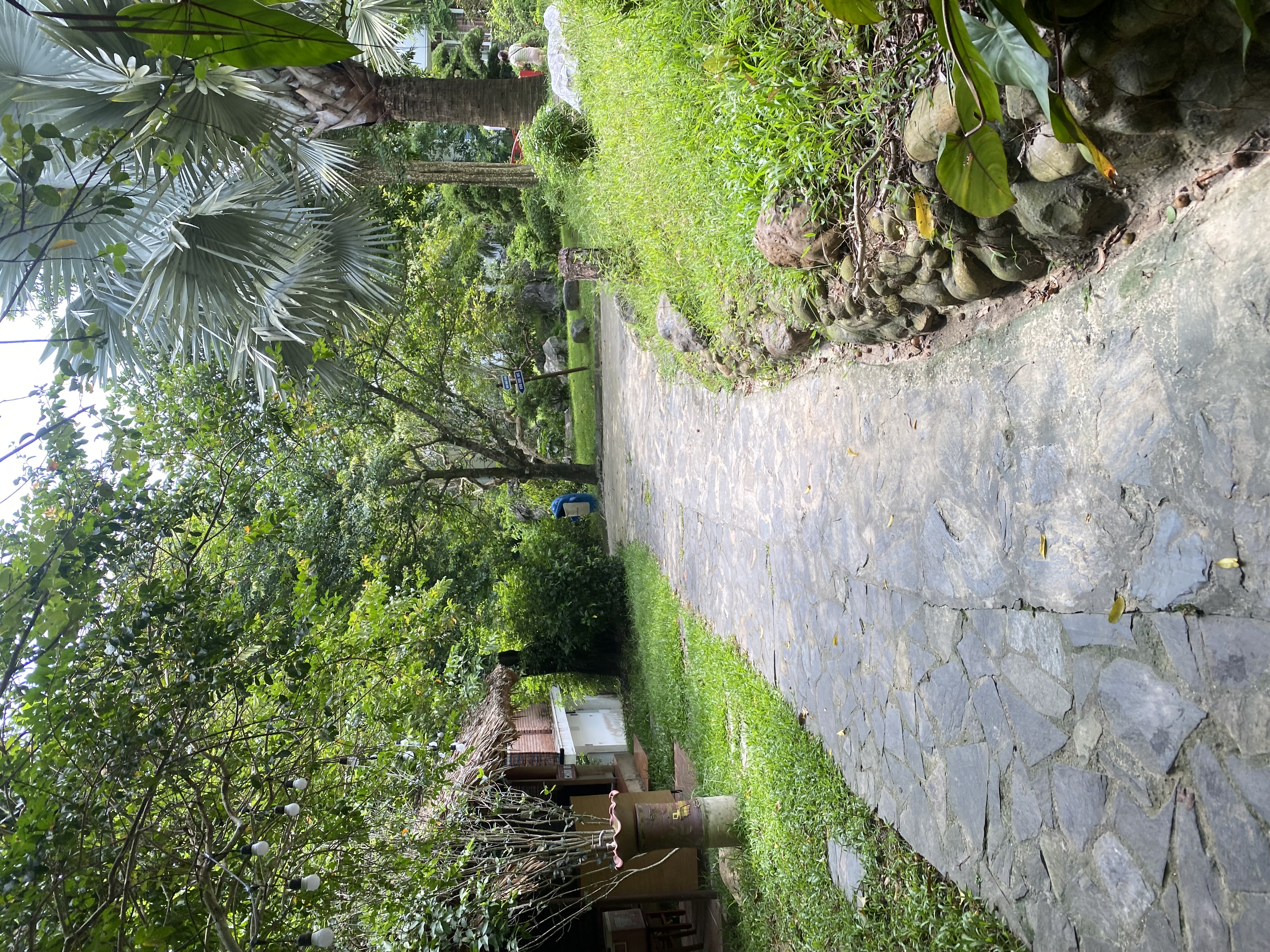 IMG_8409.jpeg