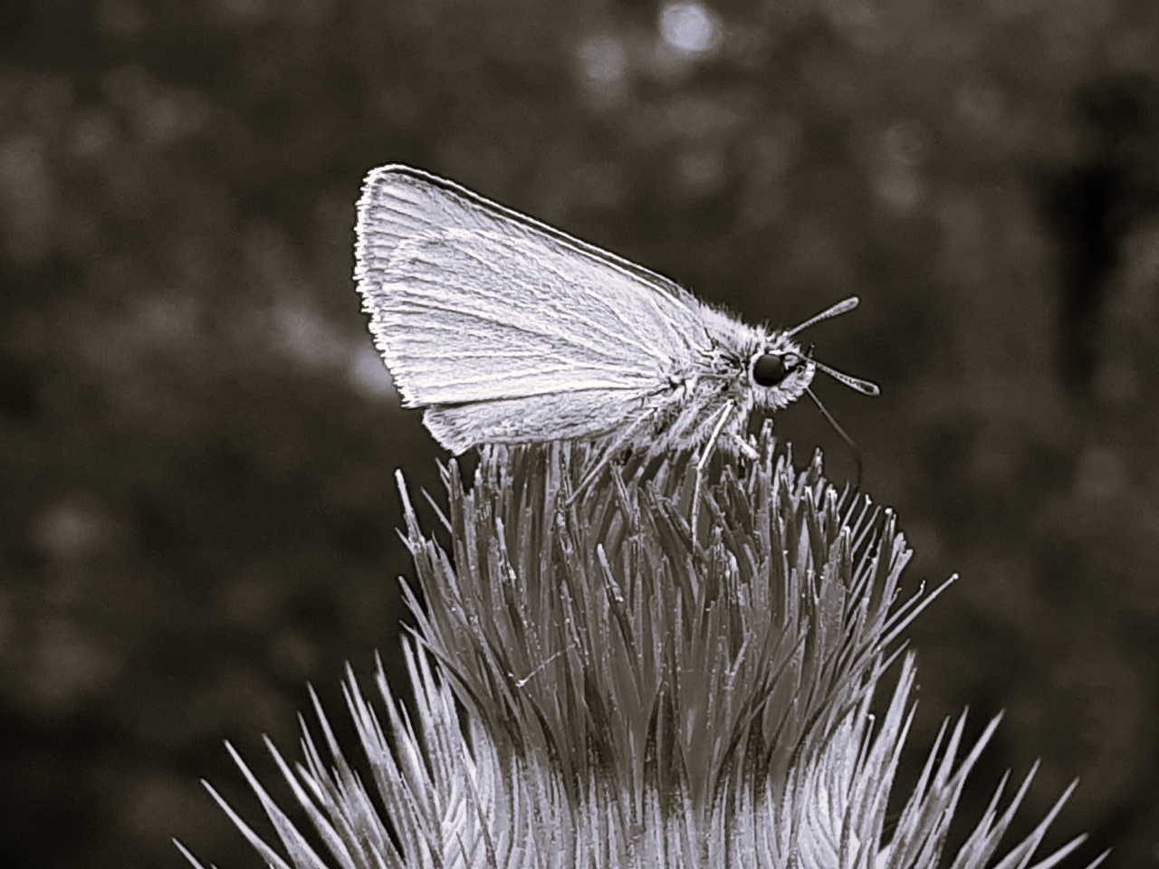 20250529_092737.jpg