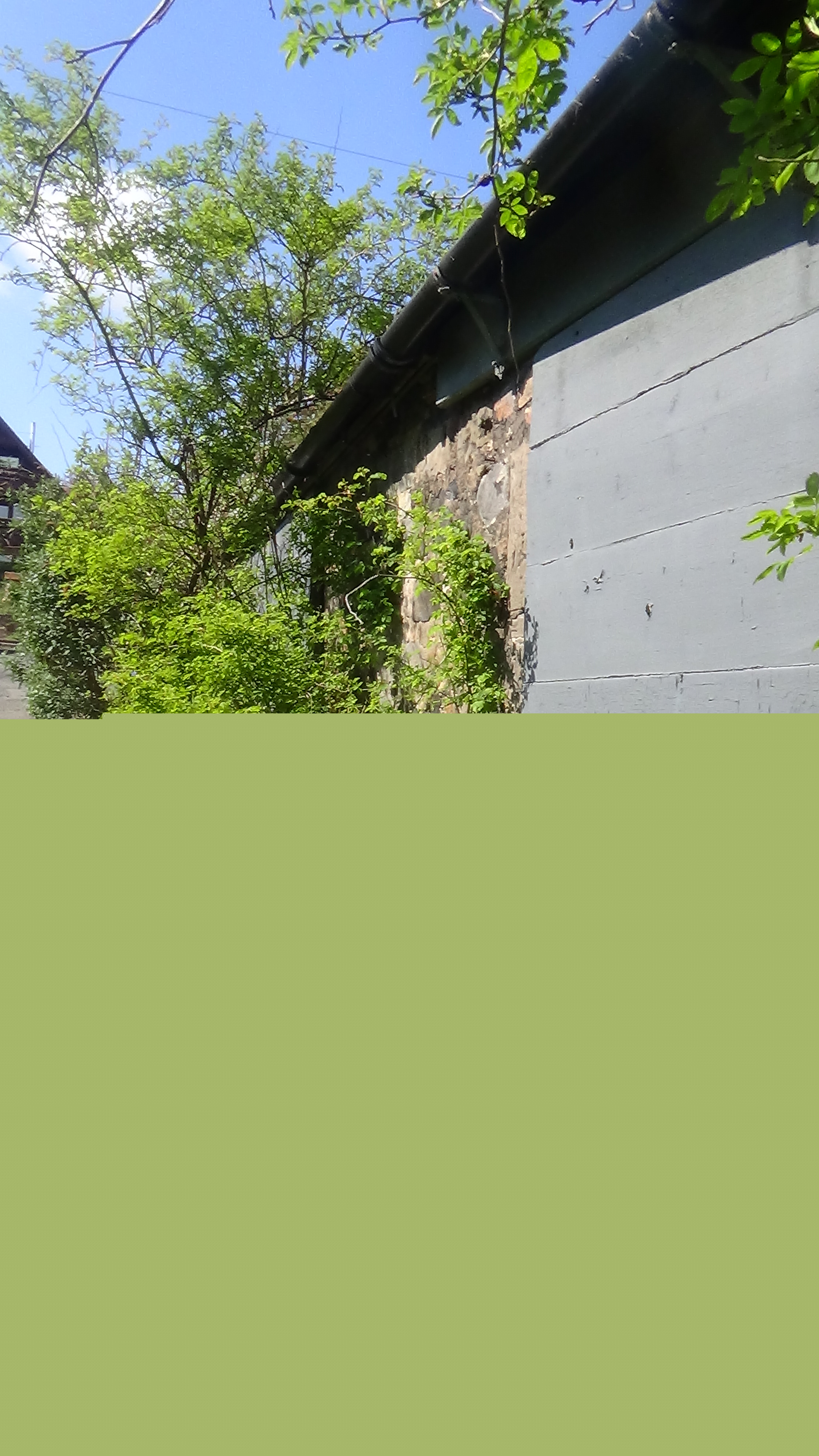 DSC02101.JPG